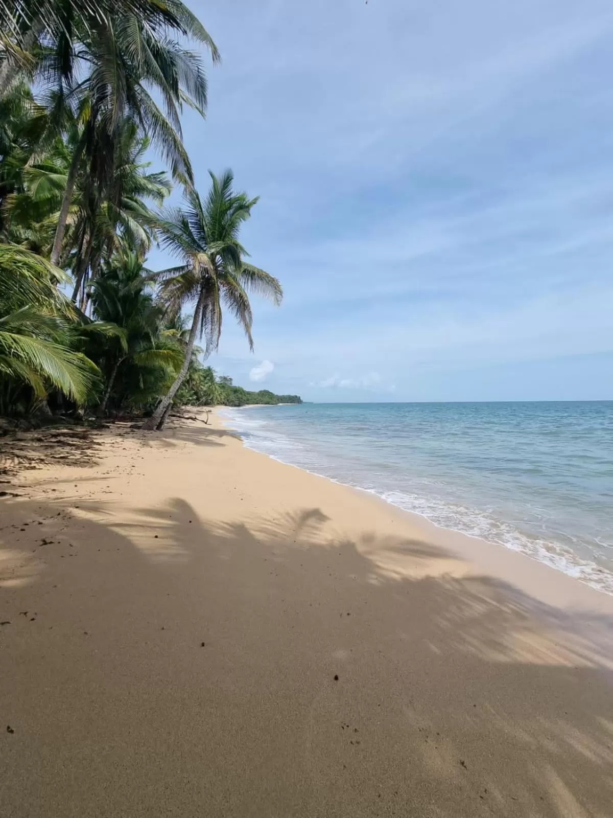 Beach in Bird Island Bungalows