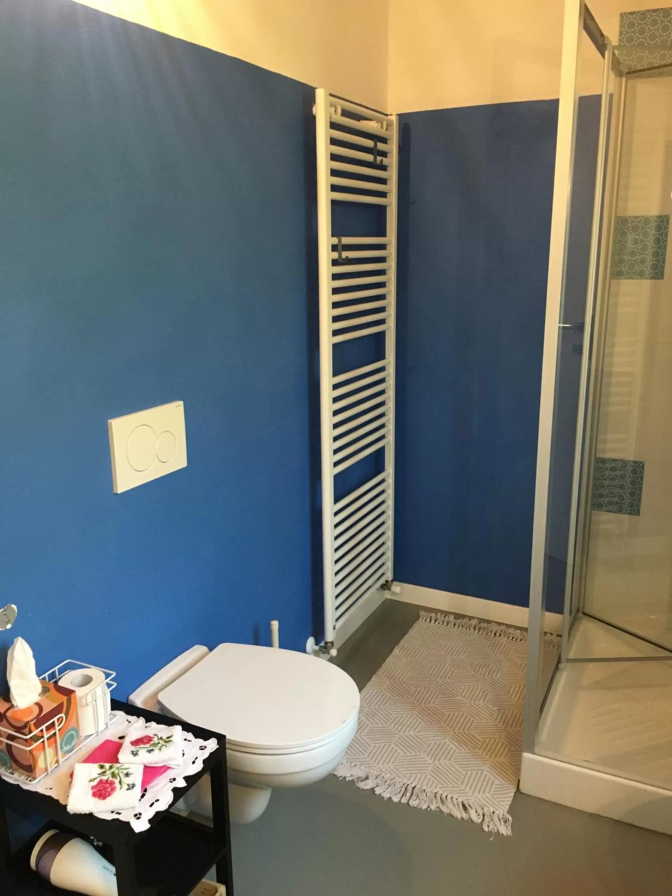 Shower in B&B La Corte del Segrino