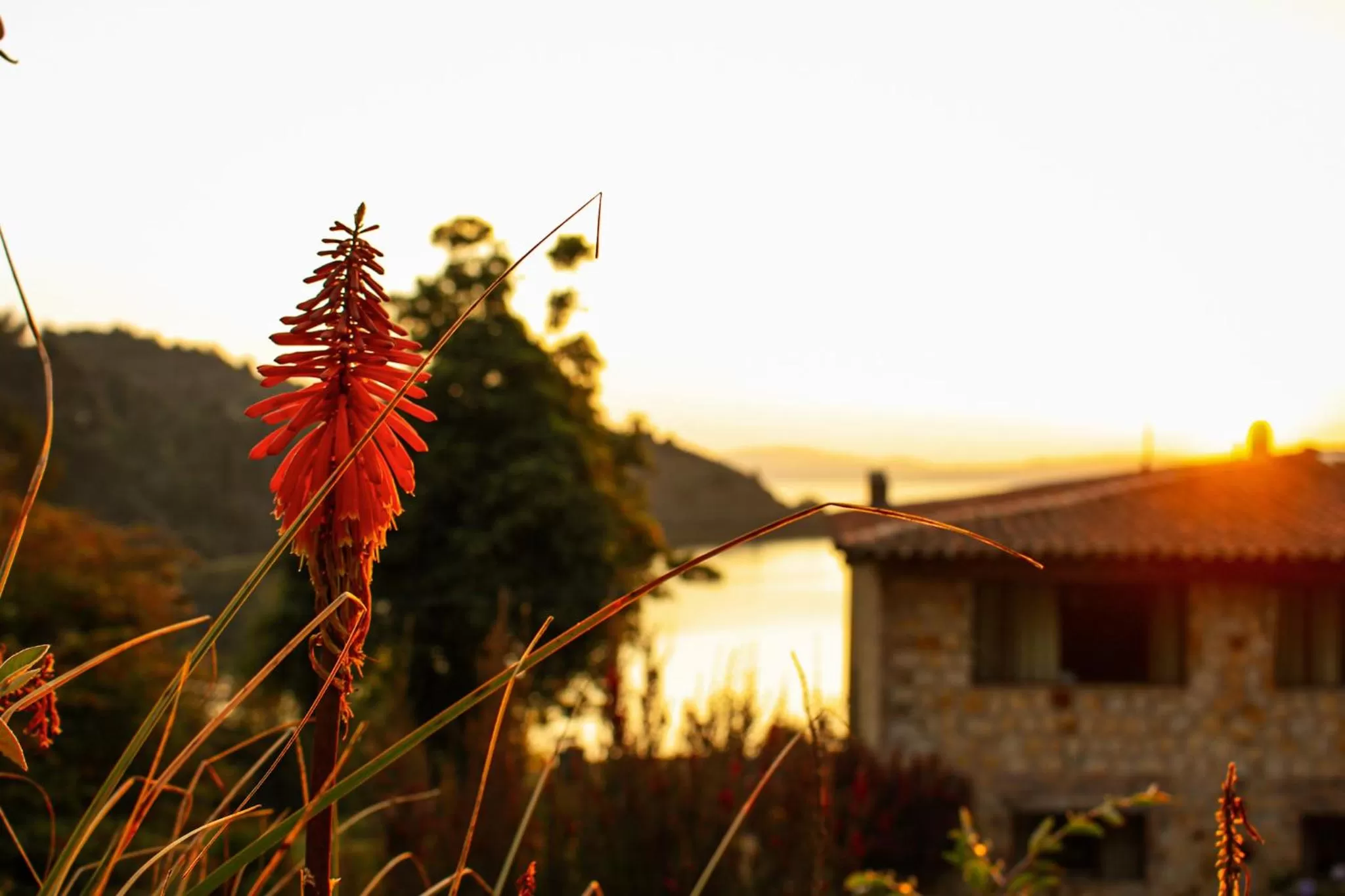Property building, Sunrise/Sunset in Hotel Refugio Pozo Azul