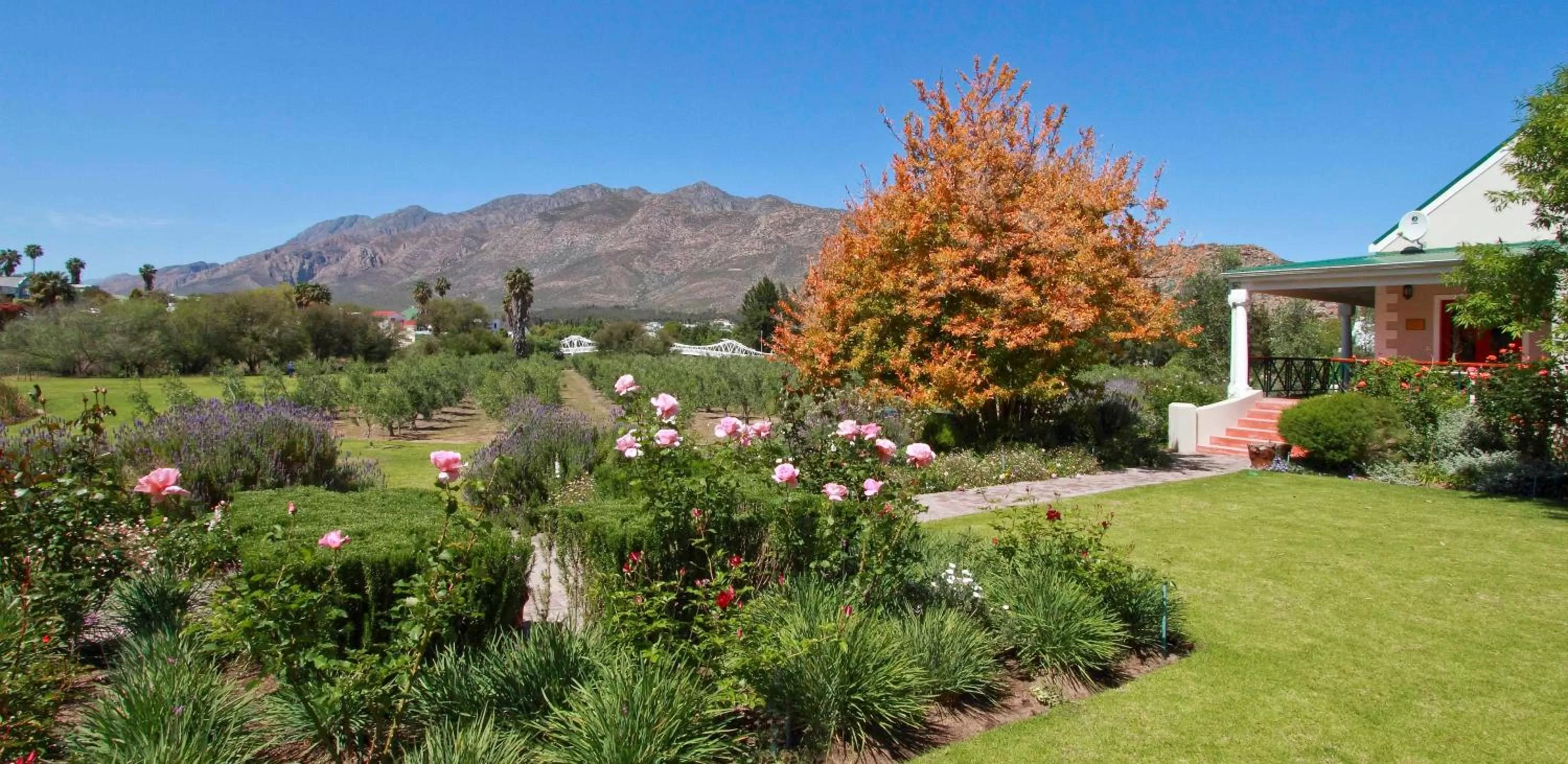 Garden in Montagu Vines Guesthouse