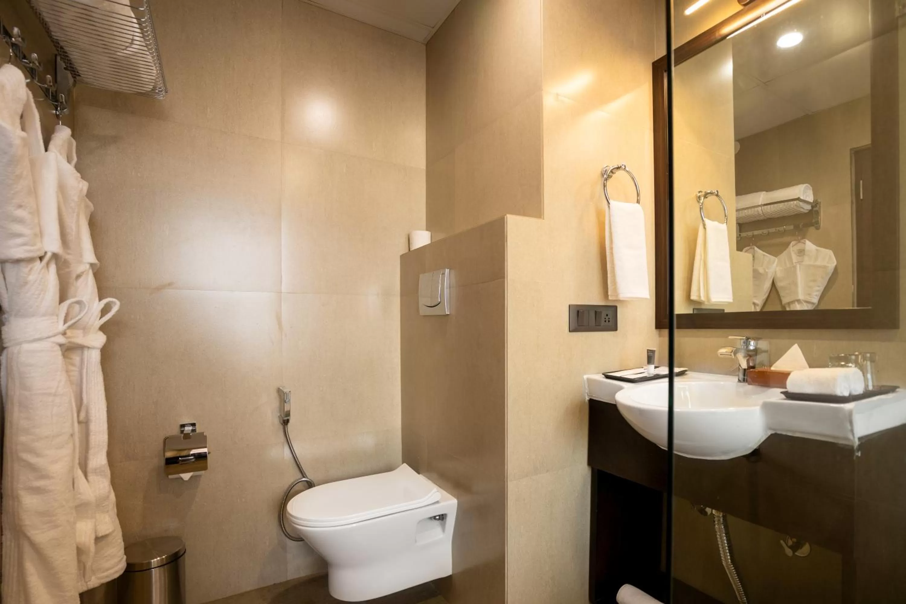 Toilet in The Orchid Shimla