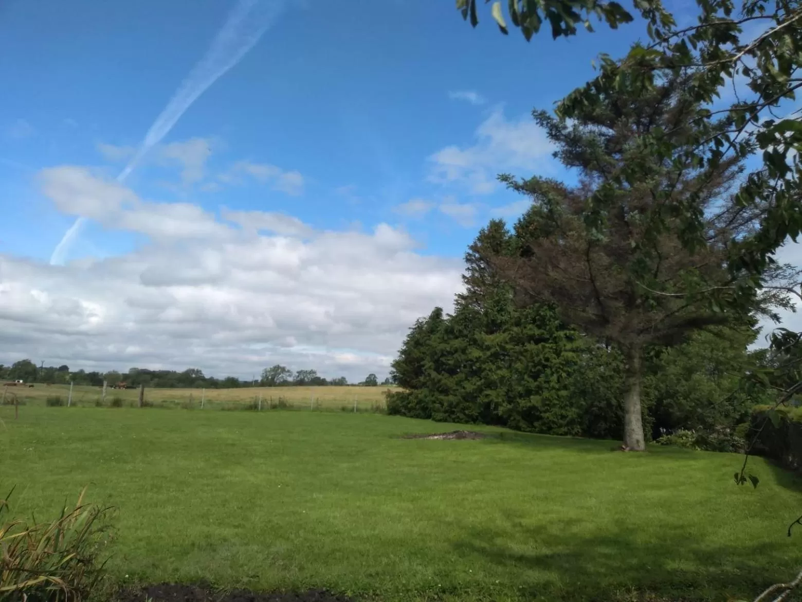 Garden in The Crossings