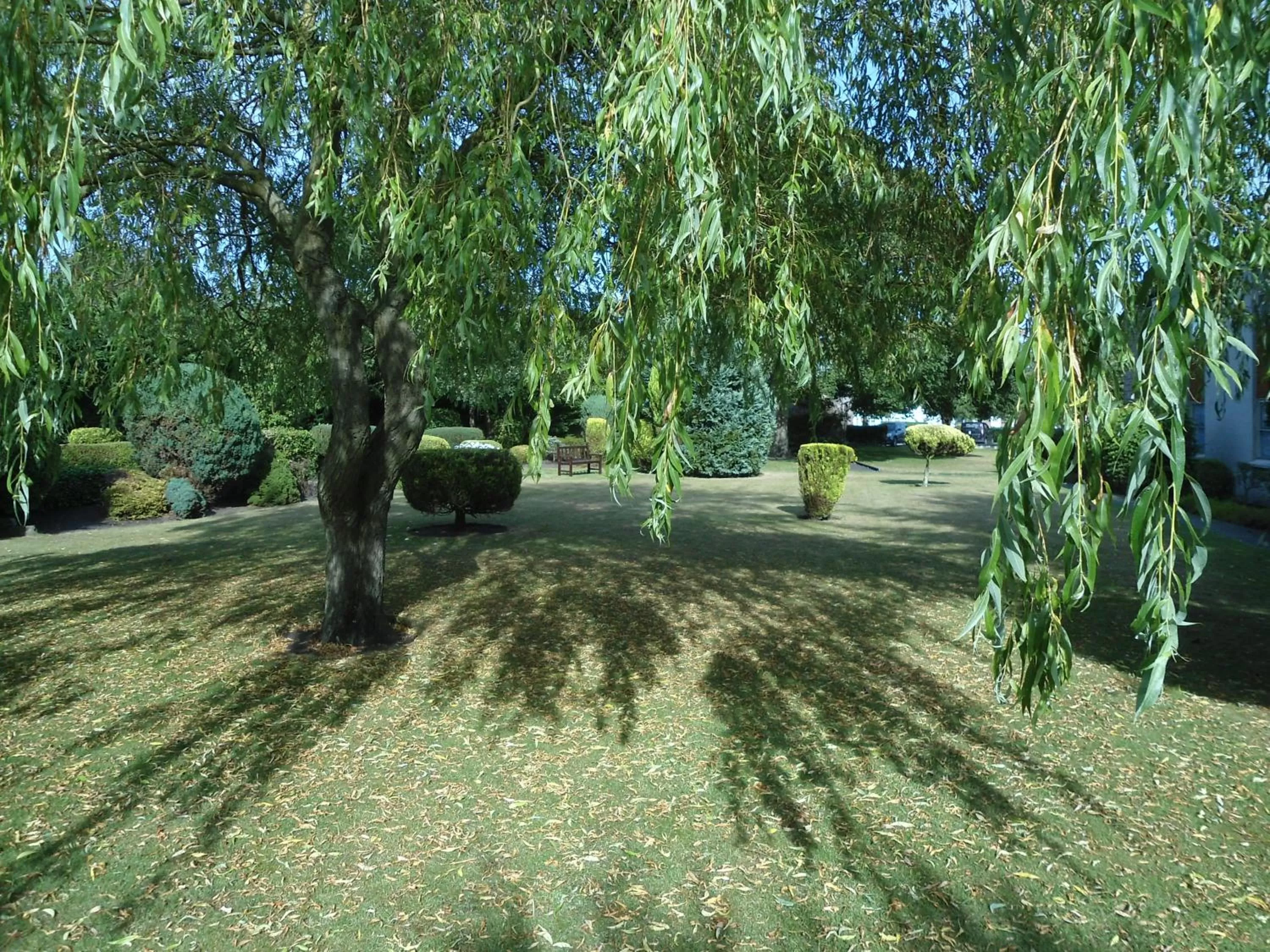 Garden in Park Hotel