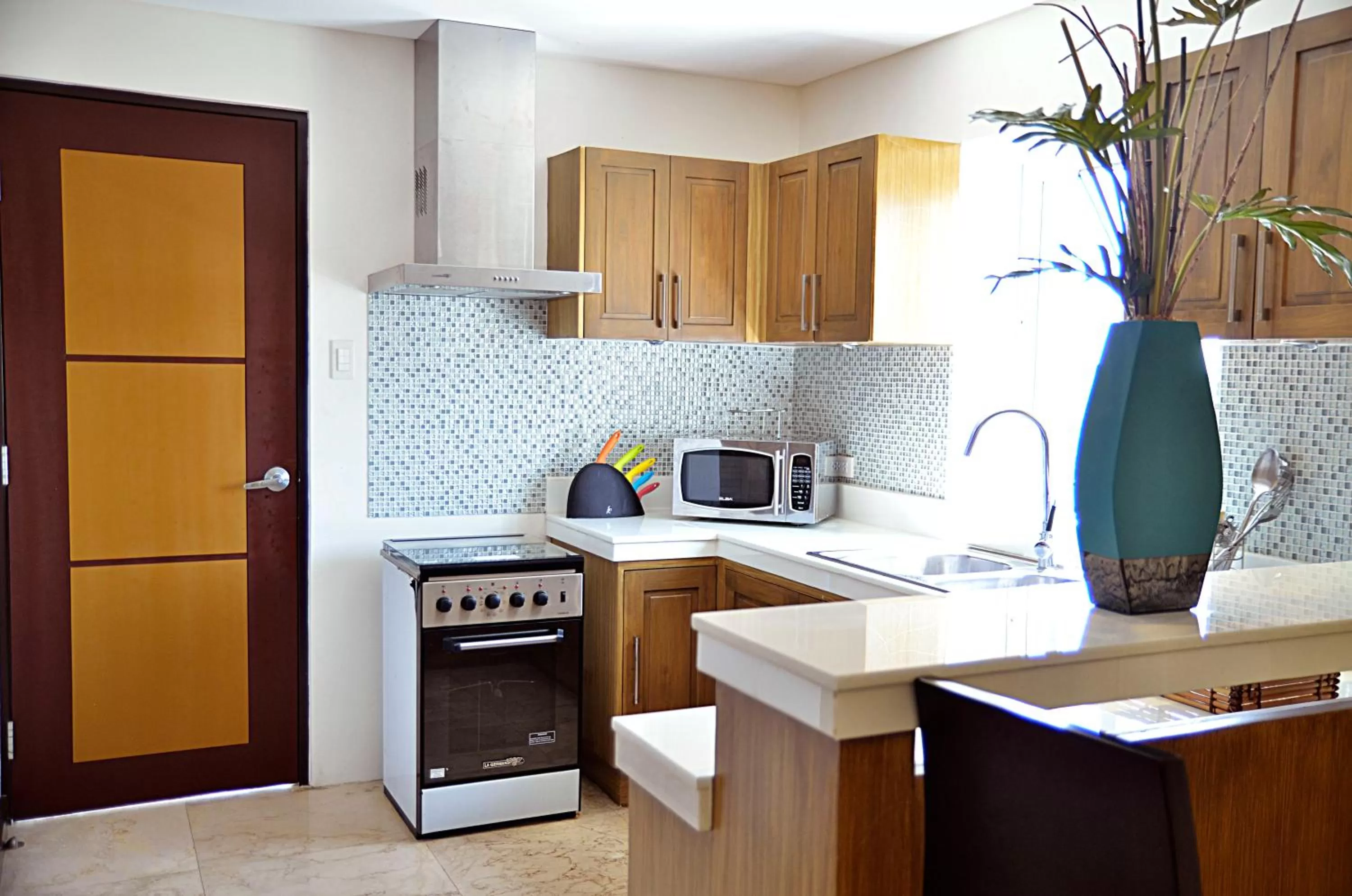 Kitchen or kitchenette in Thunderbird Resorts - Poro Point