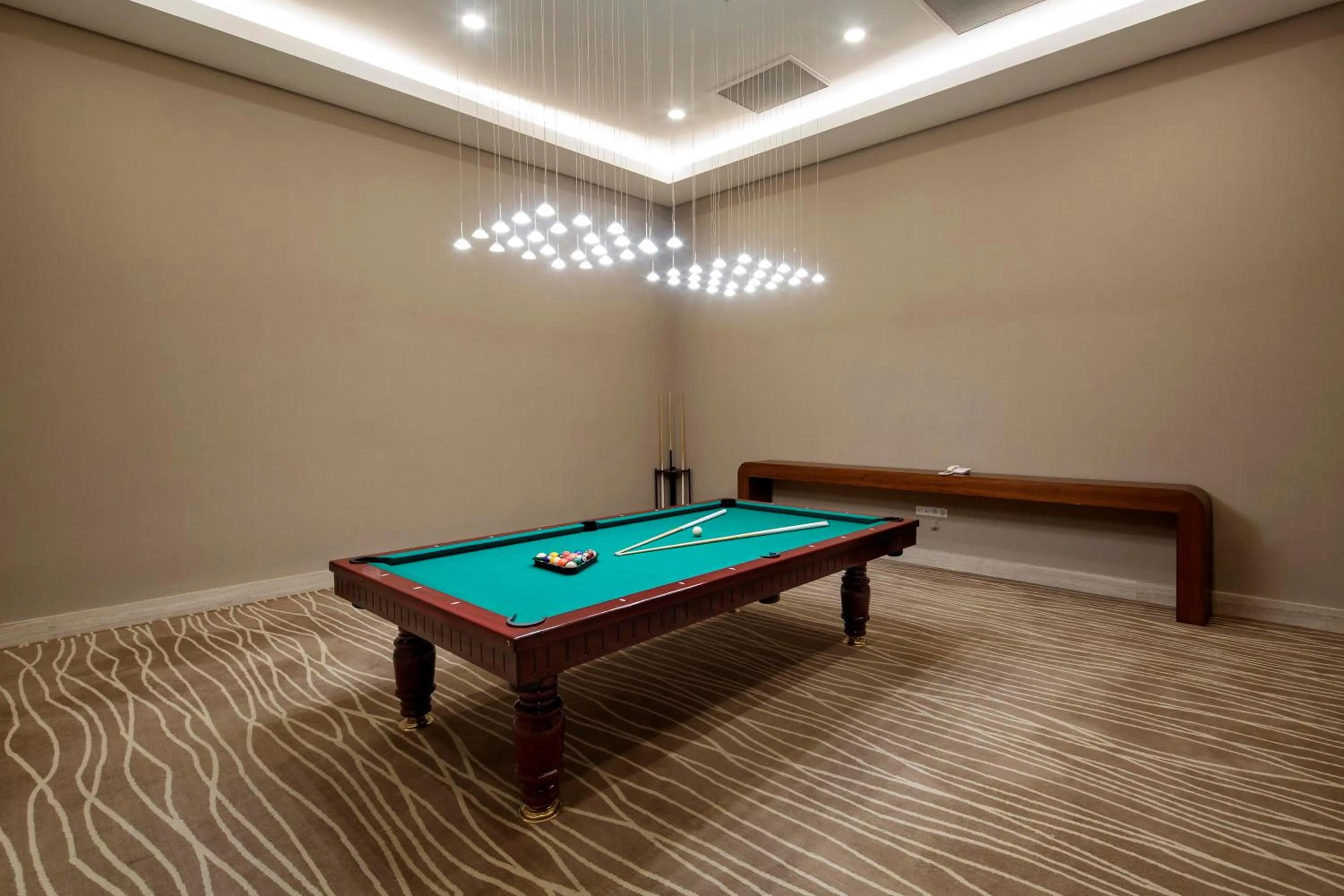 Billiard in The Sense Deluxe