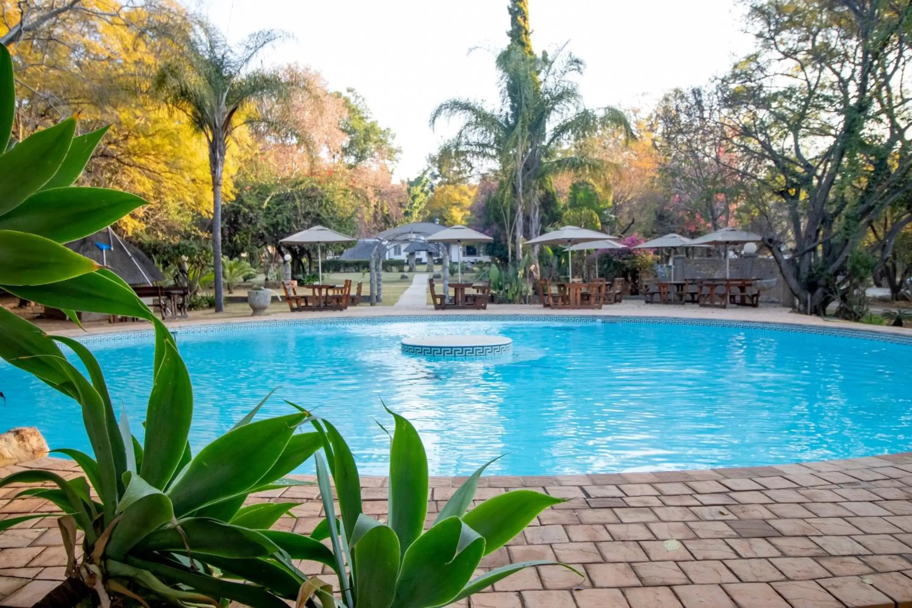Swimming Pool in BON Hotel Rustenburg Swimming Pool in BON Hotel Rustenburg
