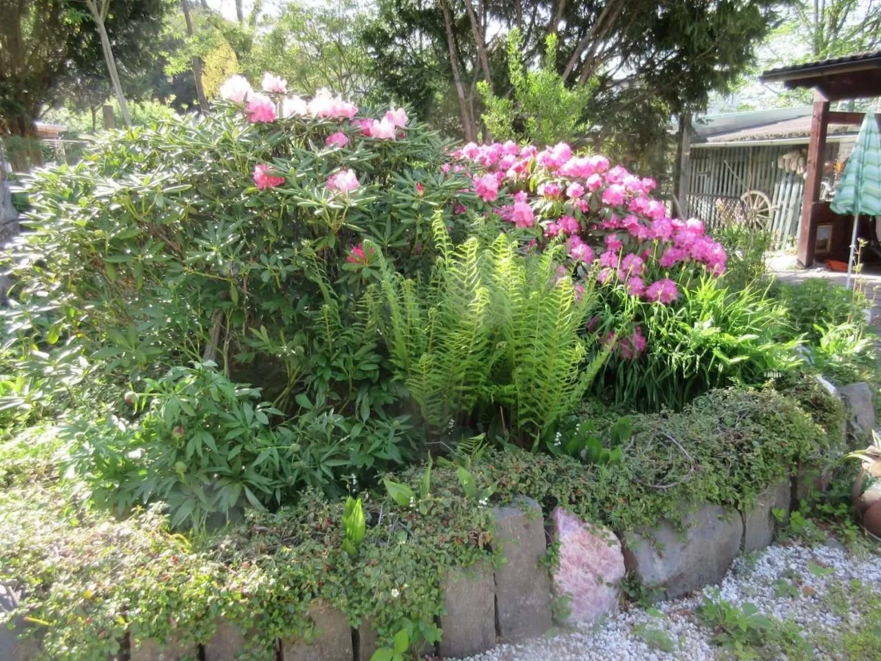 FeWo Landhaus Ederlust HeilungsRäume eV