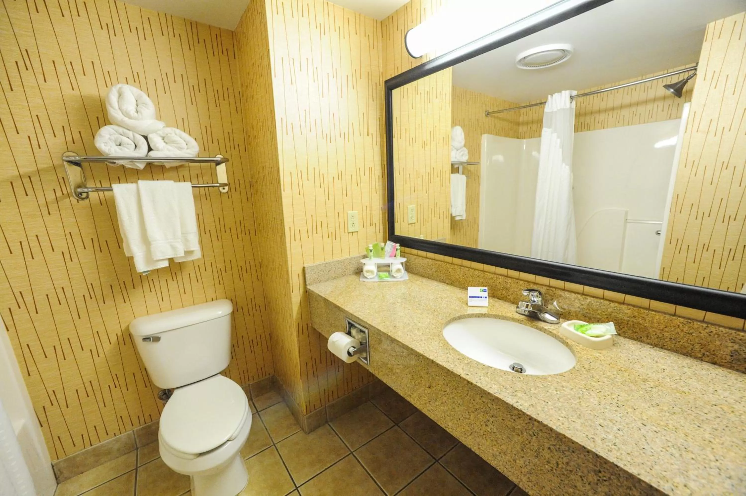 Bathroom in Holiday Inn Express Hotel & Suites Bowling Green by IHG