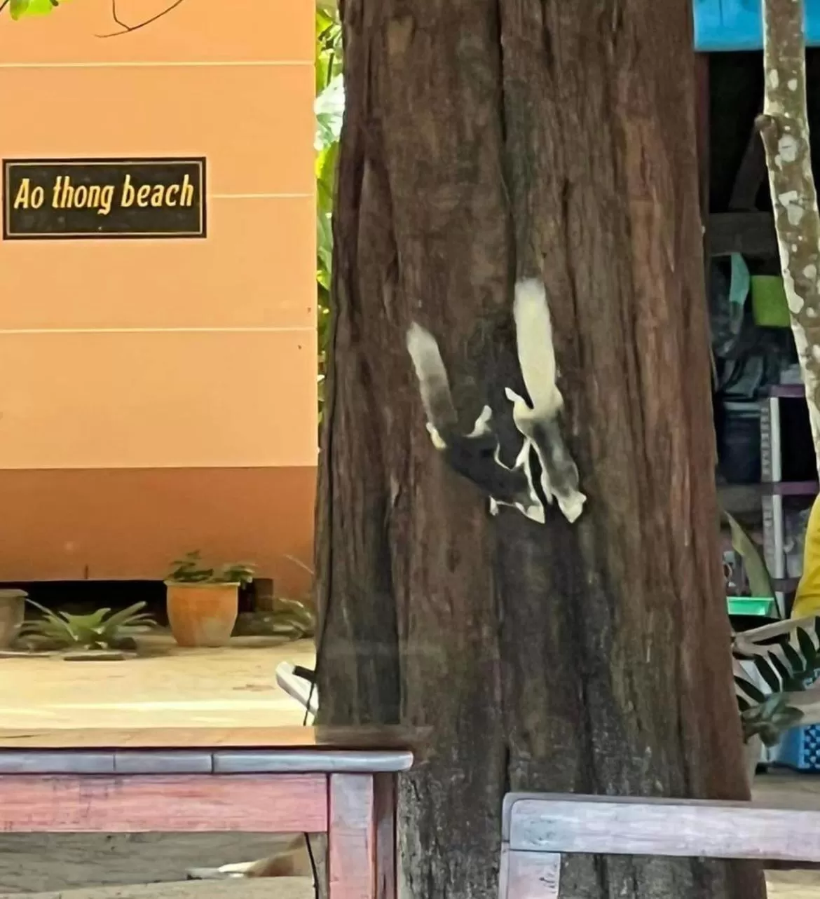 Ao Thong beach Bungalows