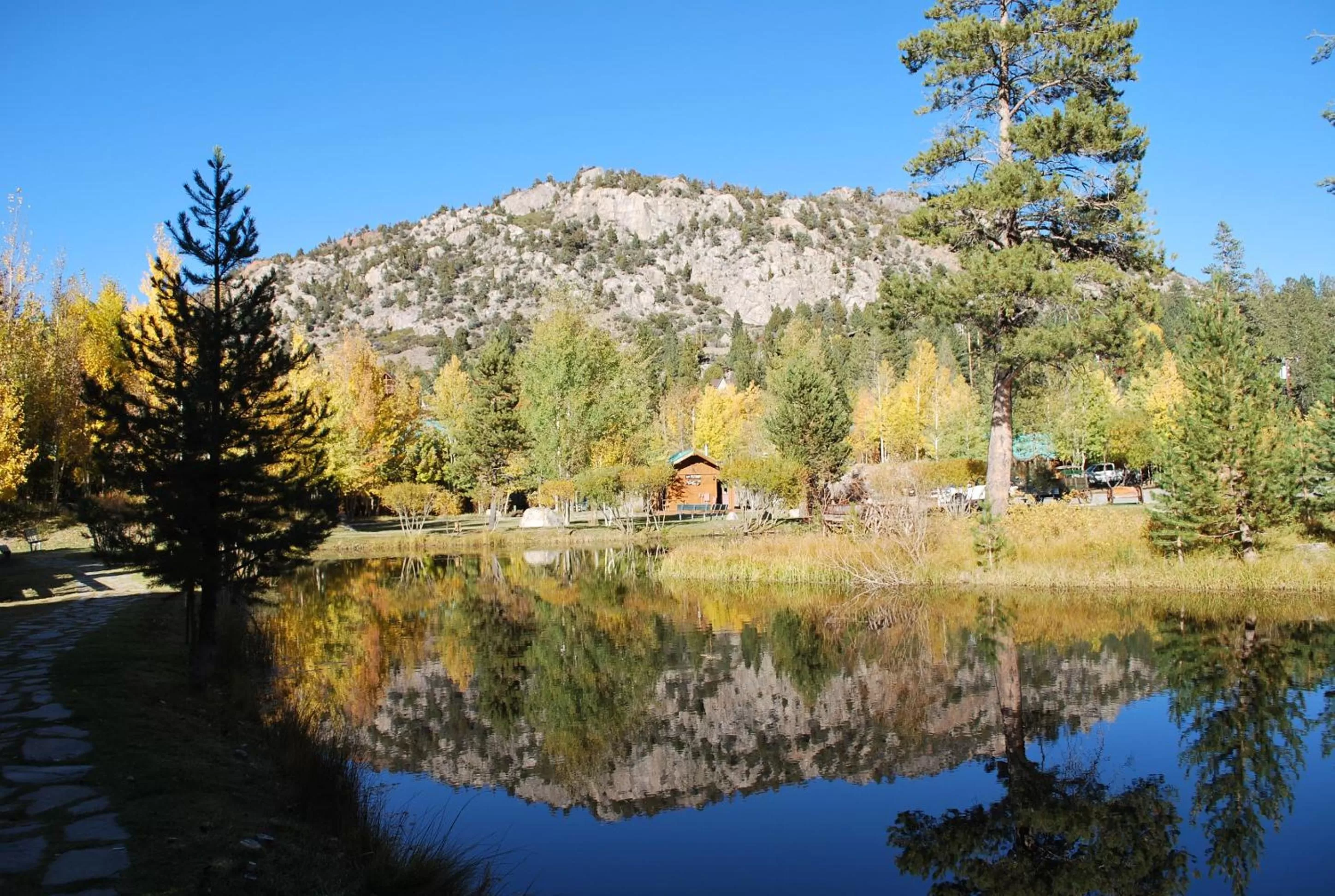 View (from property/room) in Double Eagle Resort and Spa