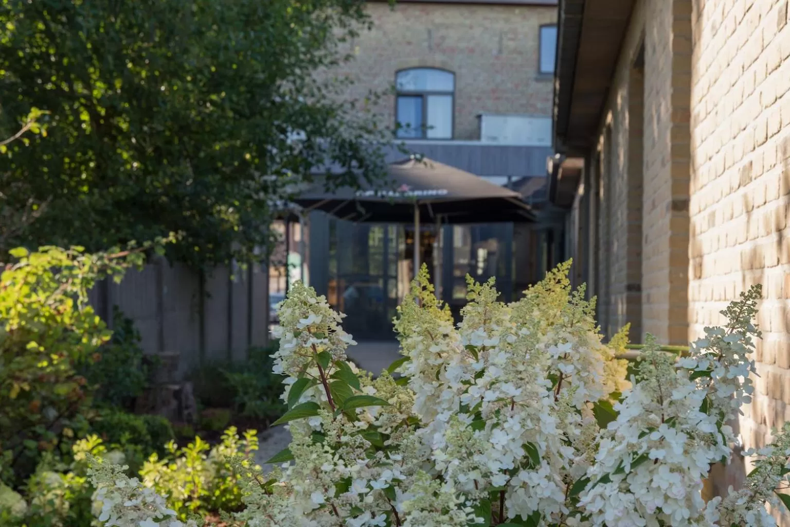 Garden, Property Building in Oud Gemeentehuis