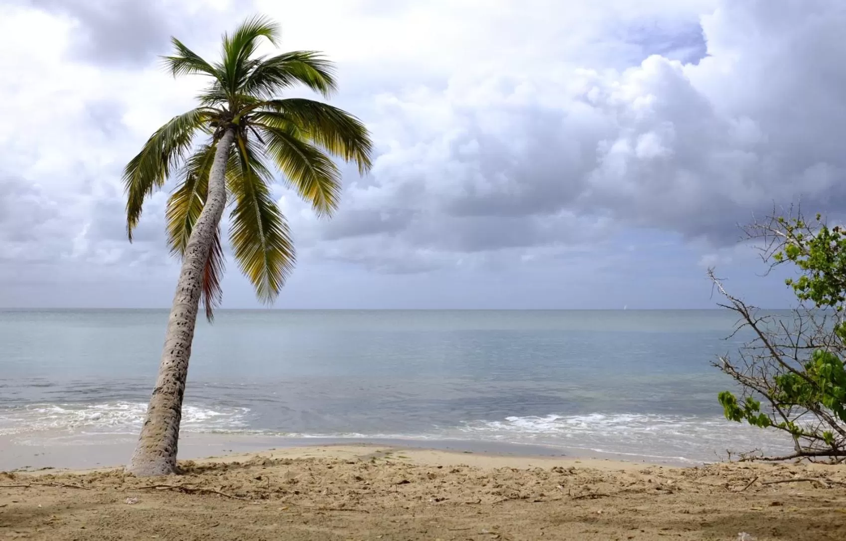 Natural landscape, Beach in Bed and breakfast Riviere