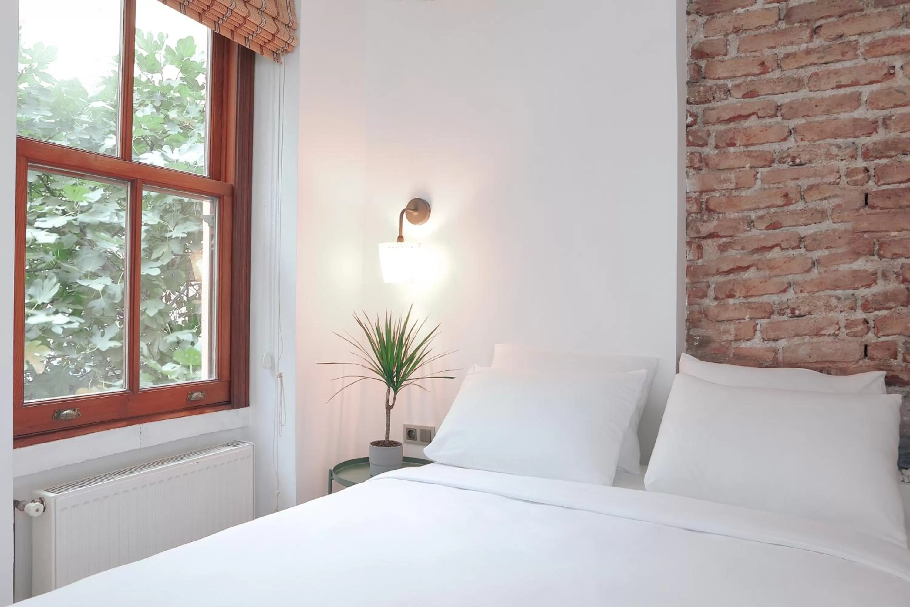 King Room with Garden View in House MOLA Galata