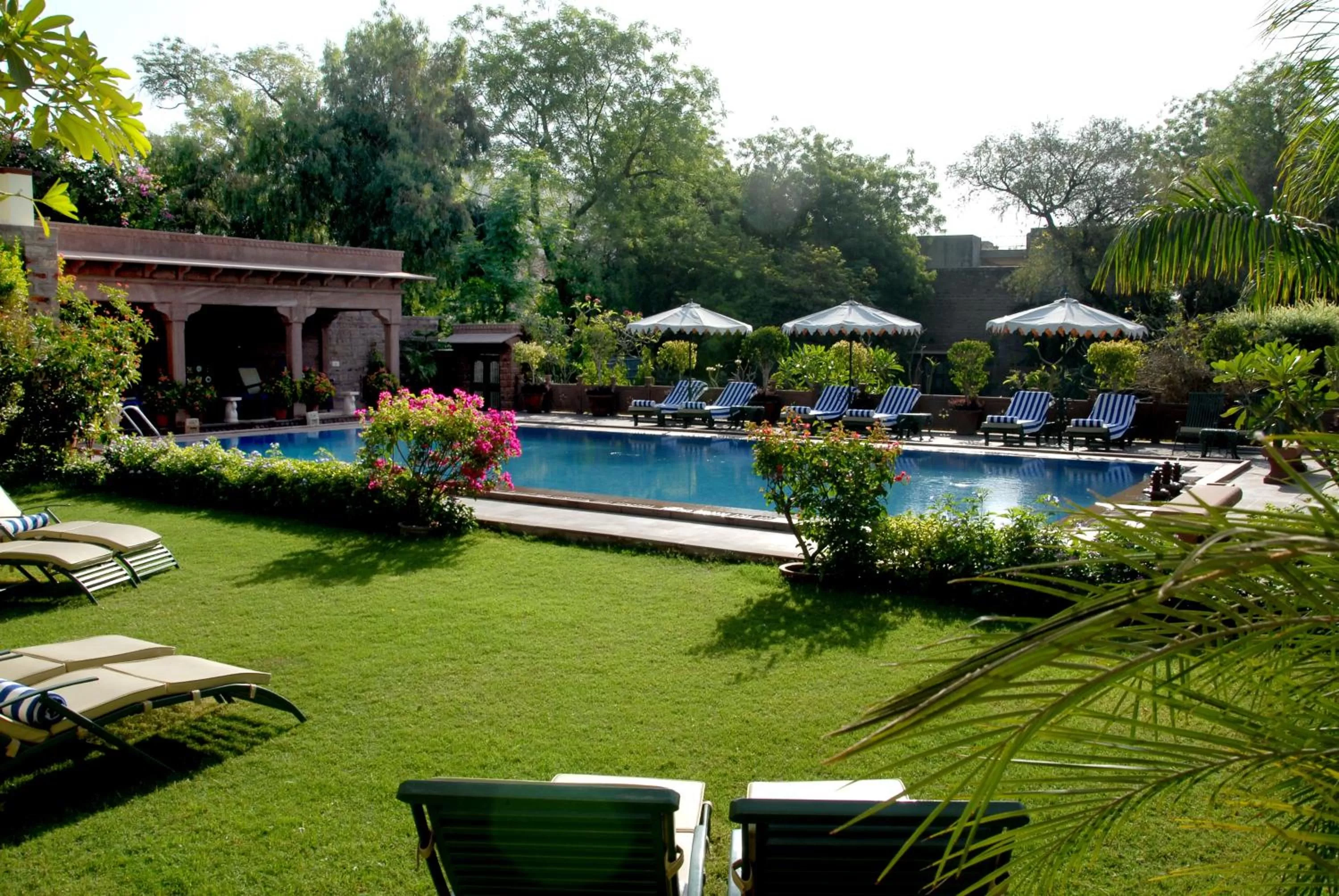 Swimming pool in Ratan Vilas, Jodhpur