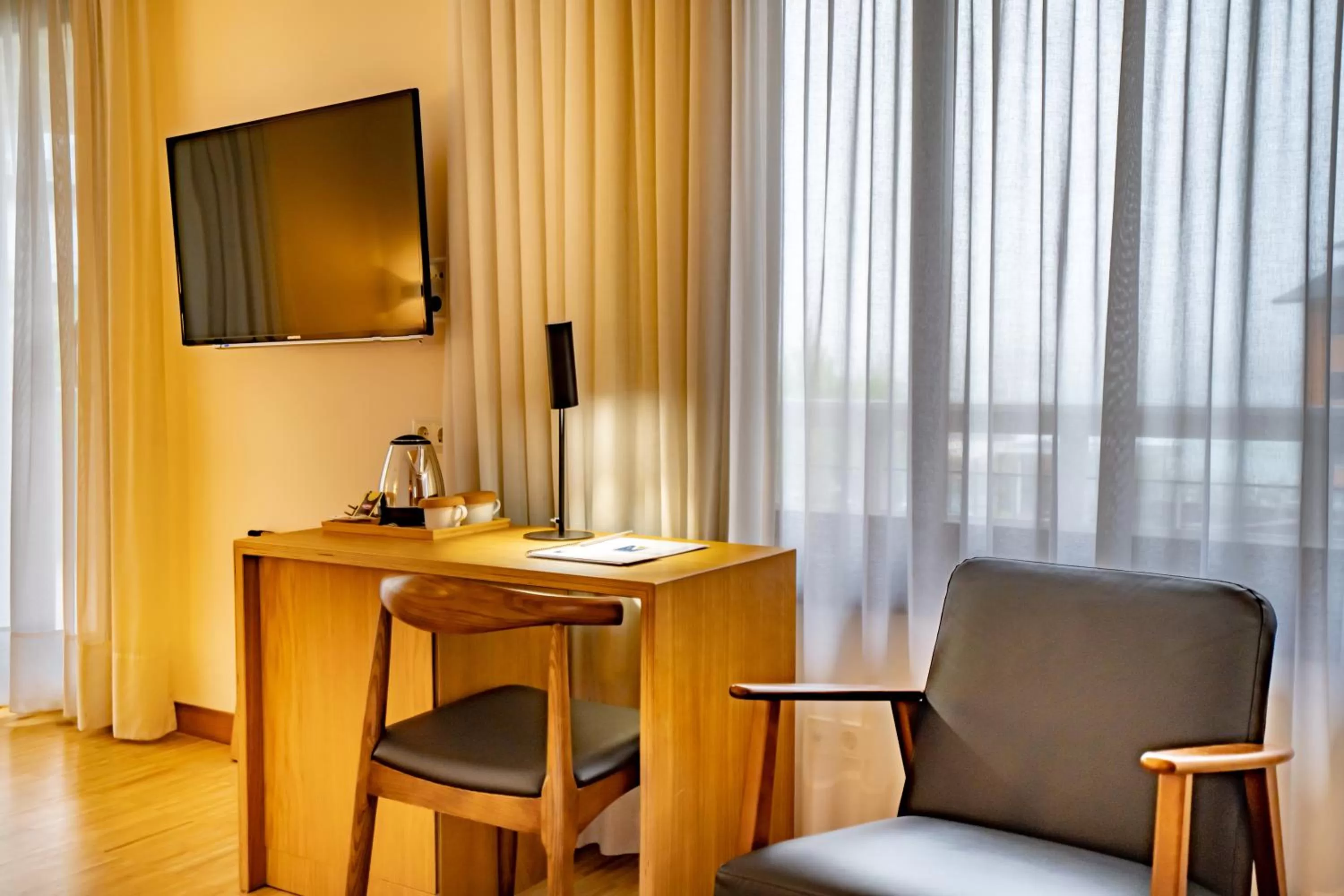 TV and multimedia in Gran Hotel Victoria