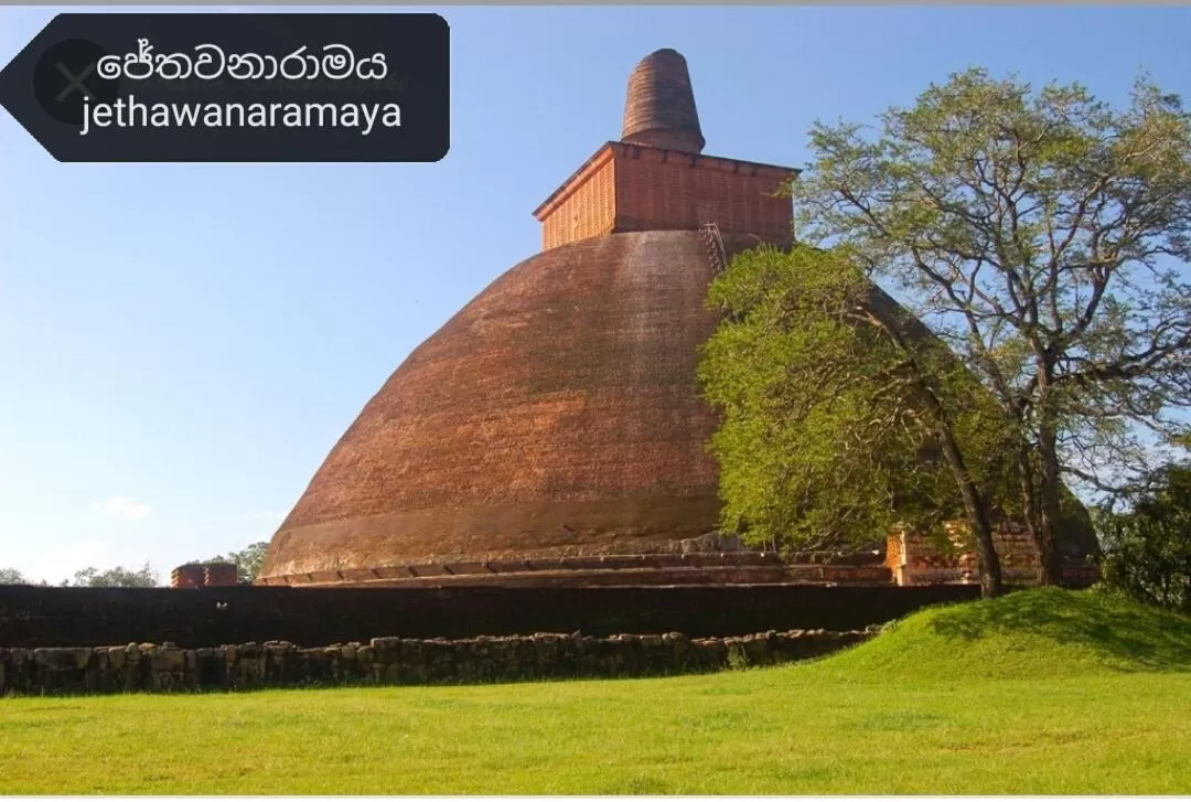 Property Building in Green Cottage