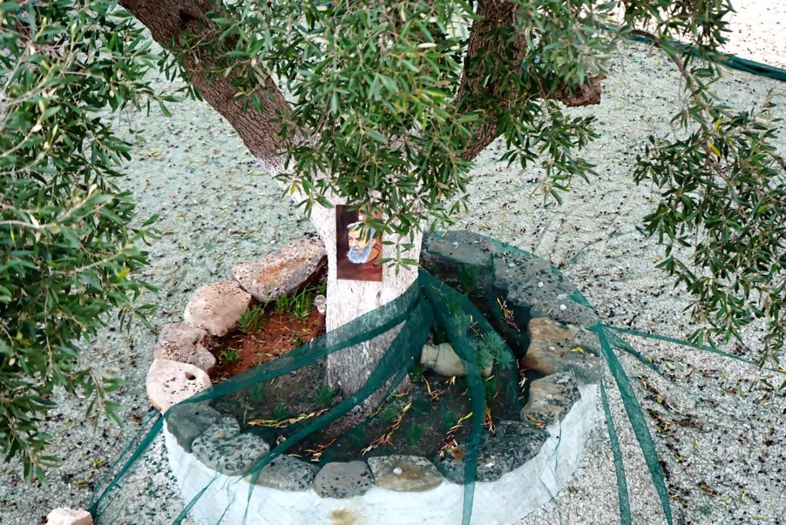 Day in TRULLO CARMEN