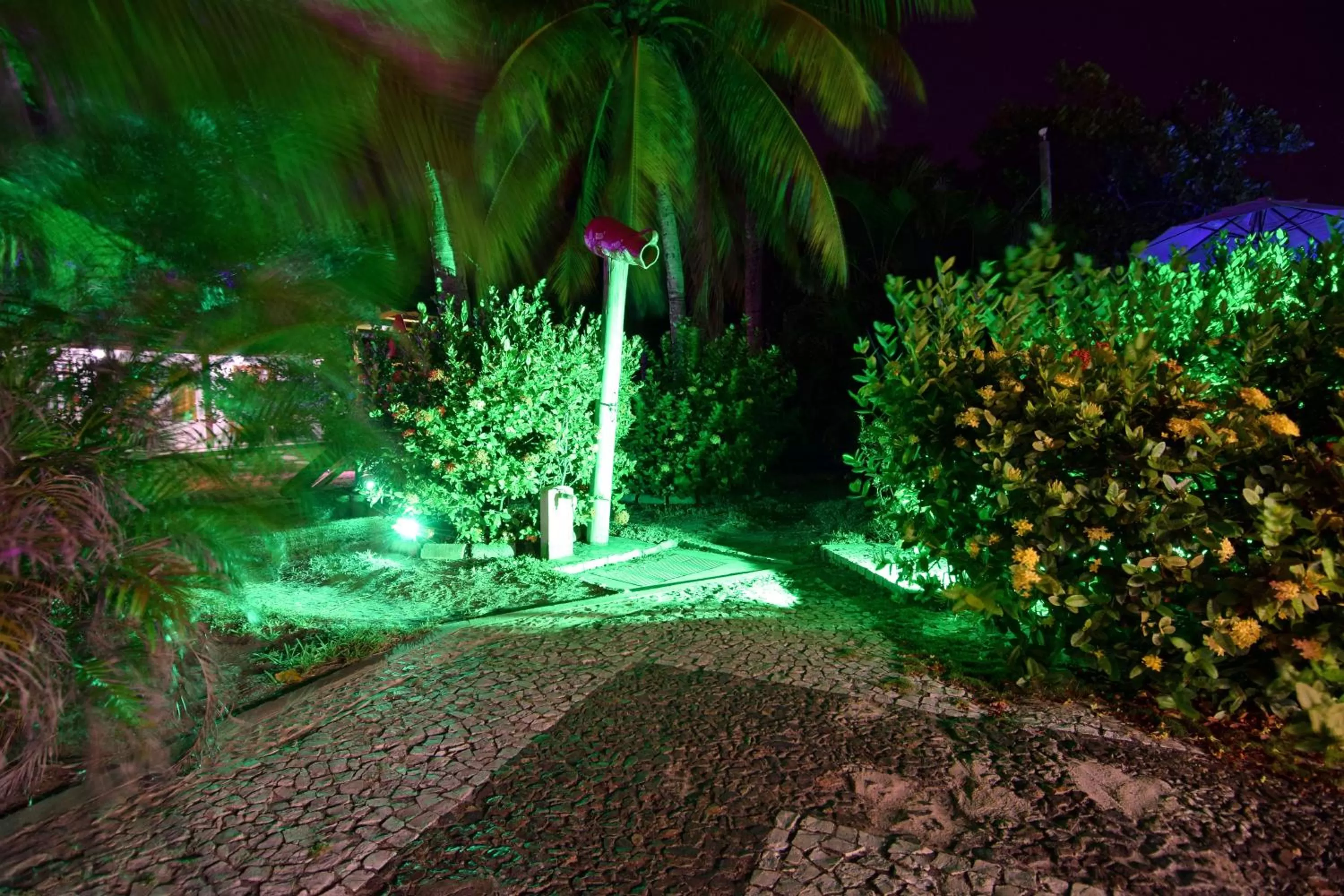 Garden in Pousada Ipitanga IV