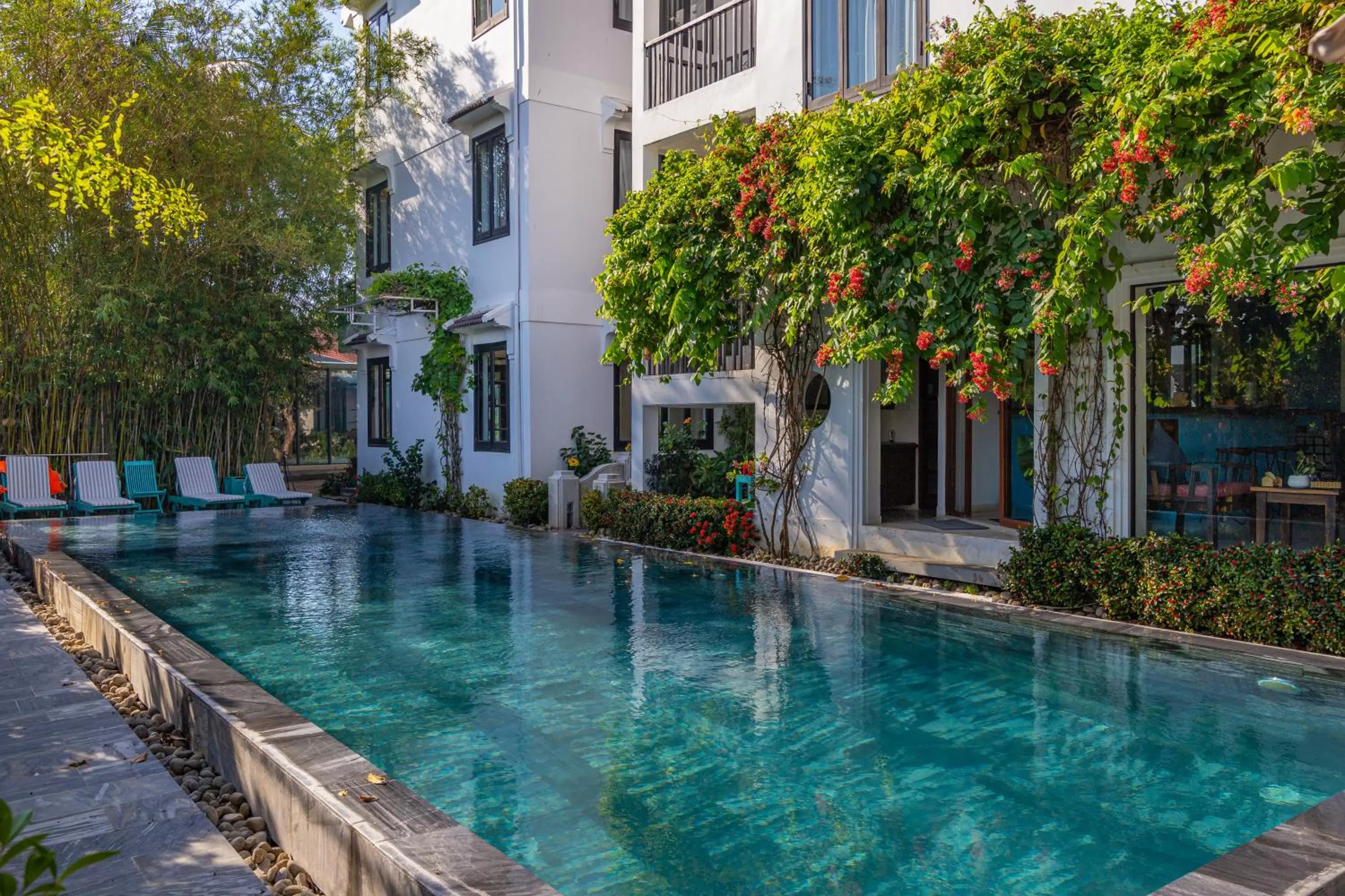 Pool view, Swimming Pool in Tra Que Mansion