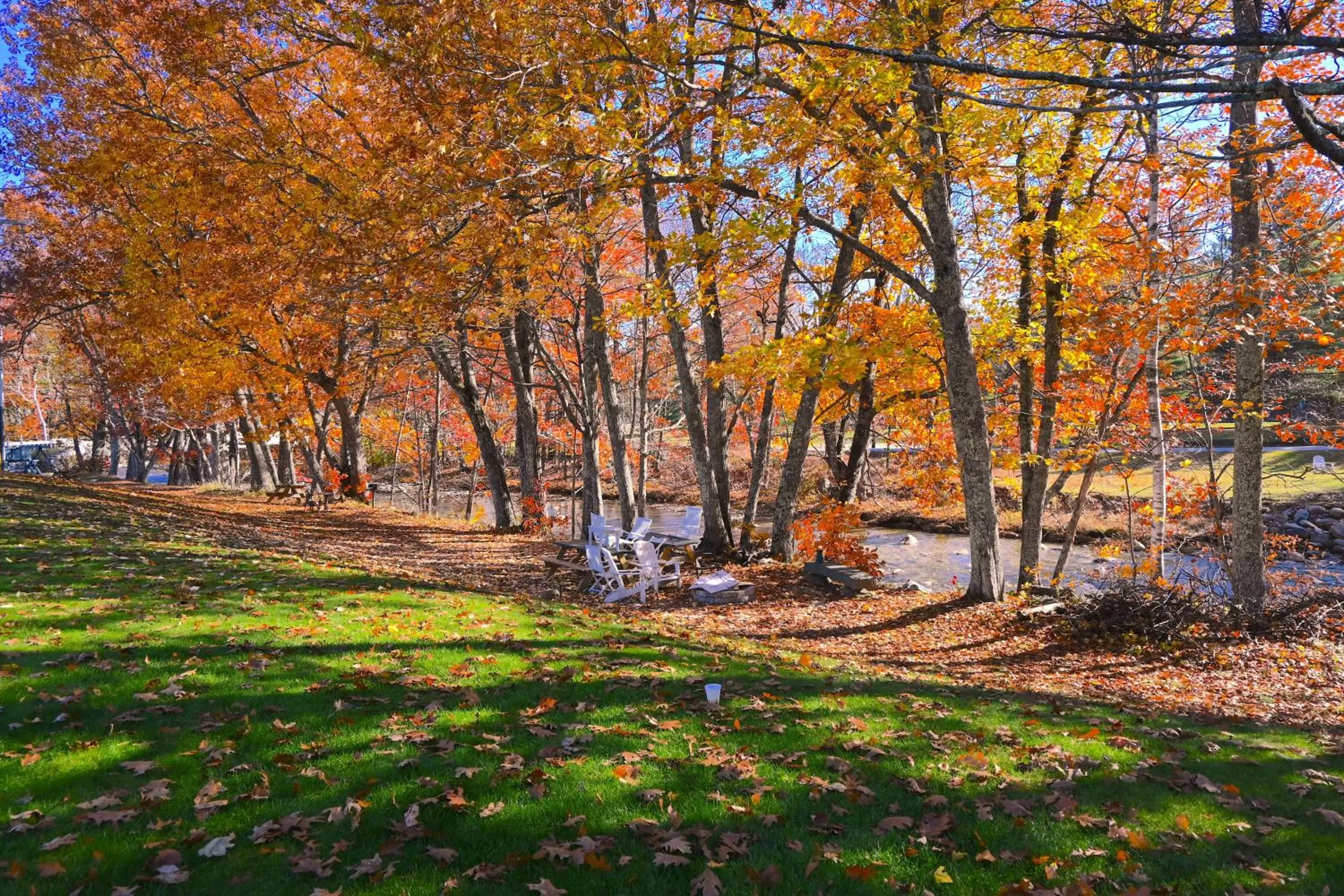 Autumn in The Lodge at Jackson Village