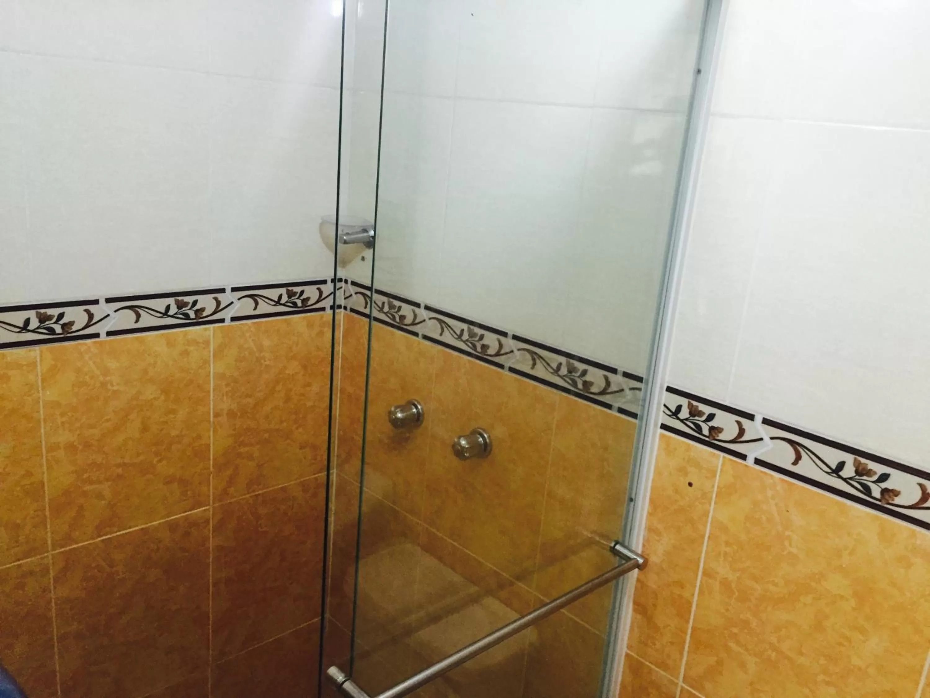 Shower, Bathroom in Hotel Preferencial Class