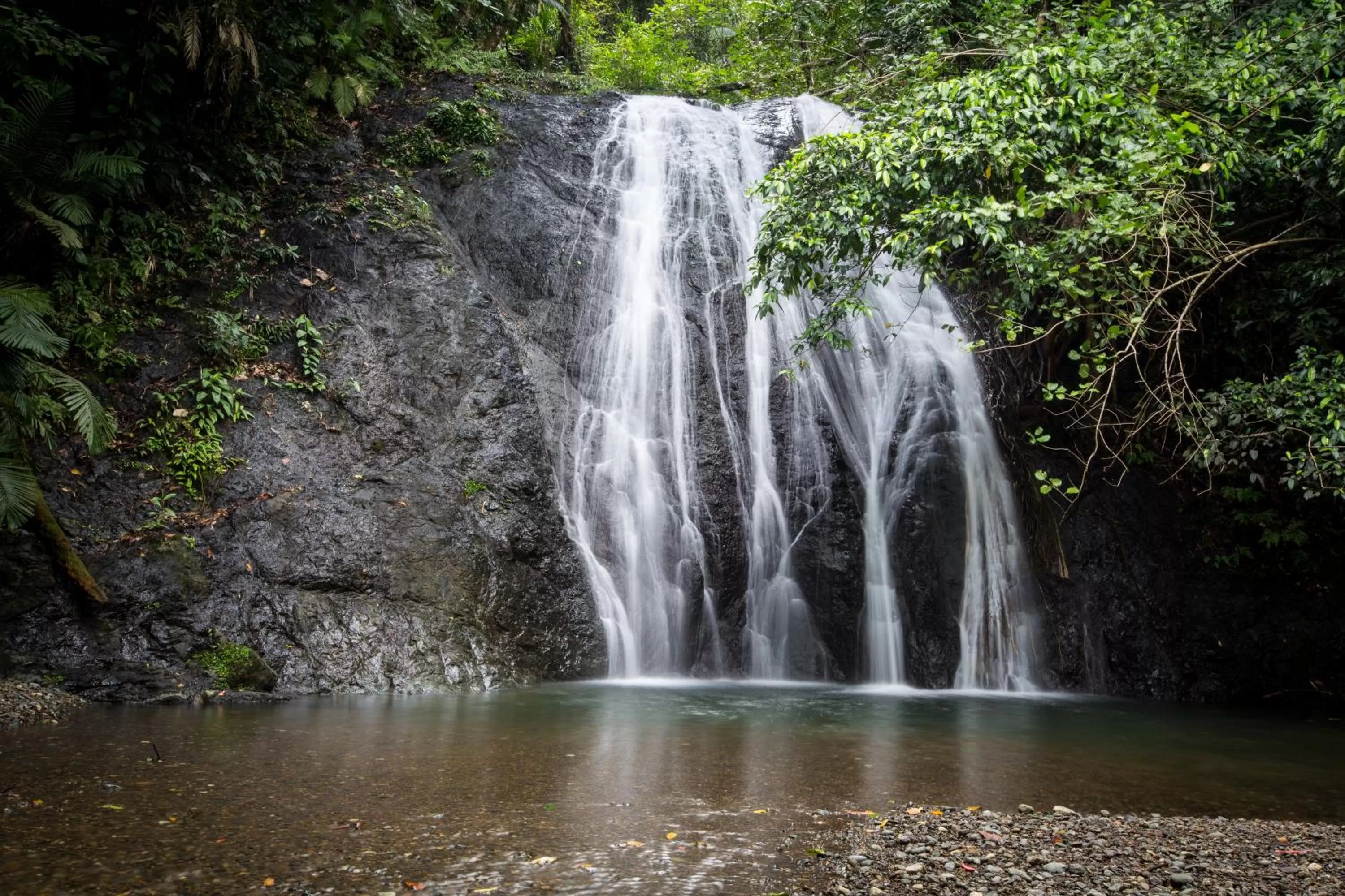 Natural landscape in Tawali Leisure & Dive Resort