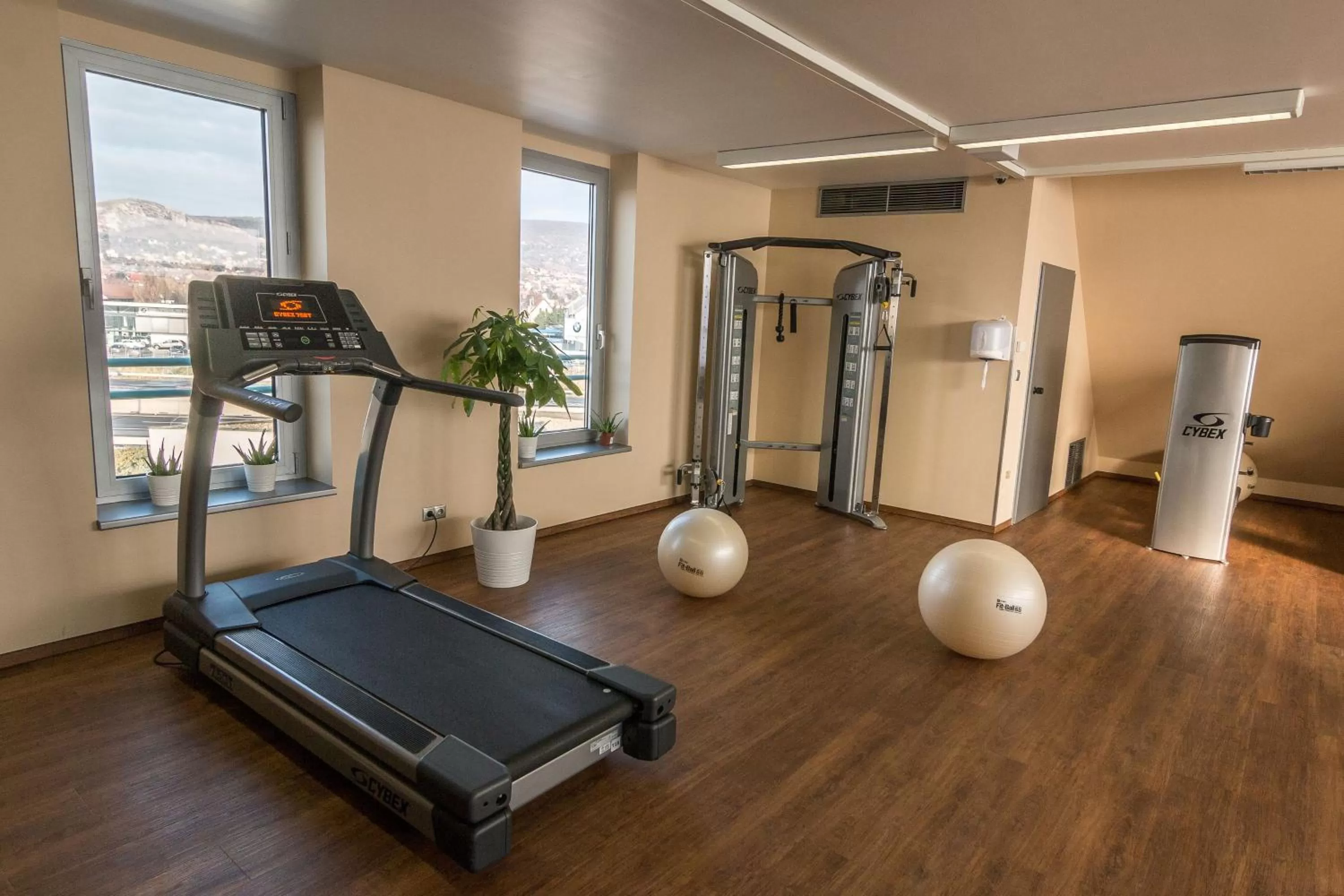 Fitness centre/facilities in Holiday Inn Budapest-Budaörs by IHG