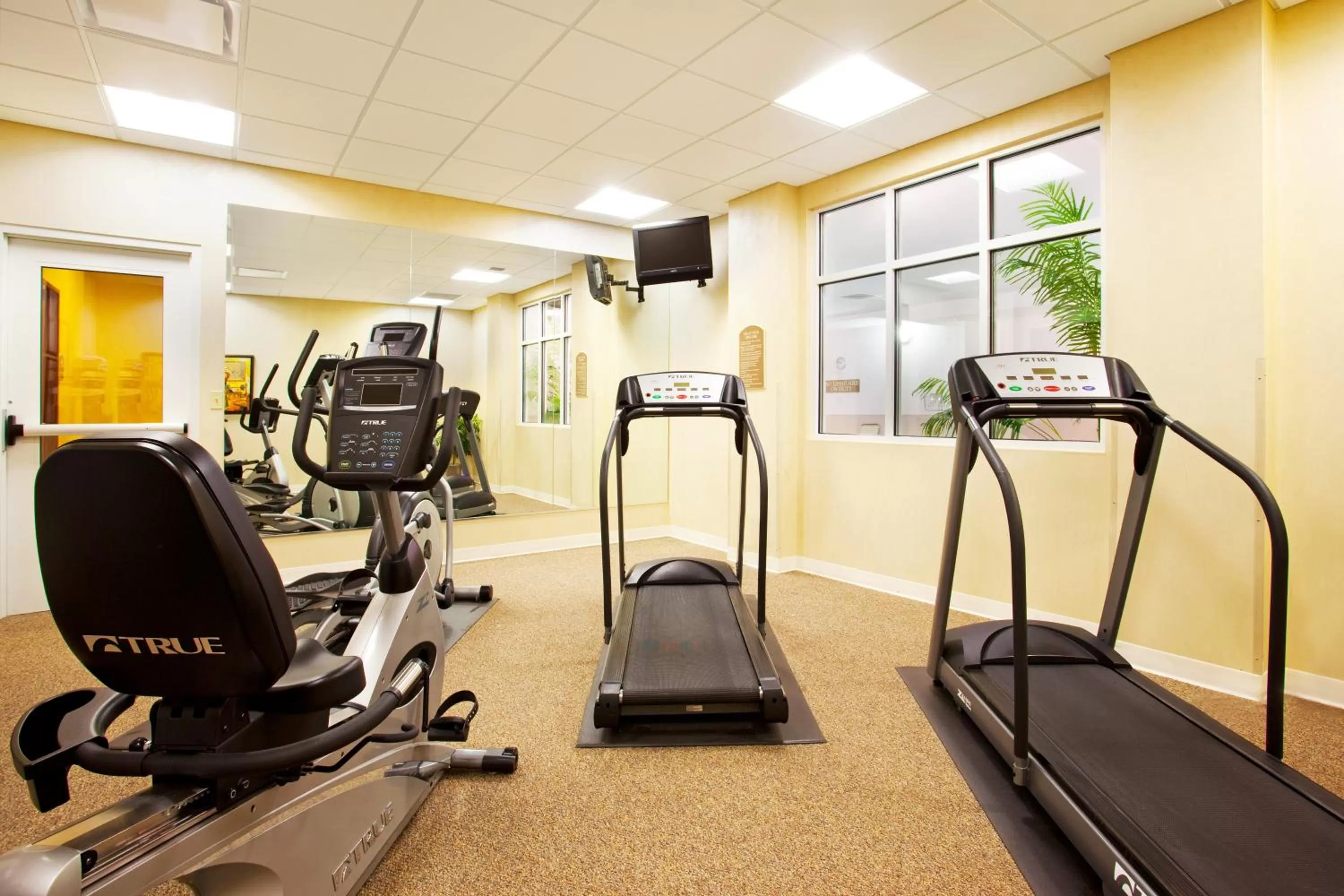 Spa and wellness centre/facilities in Holiday Inn Battle Creek by IHG