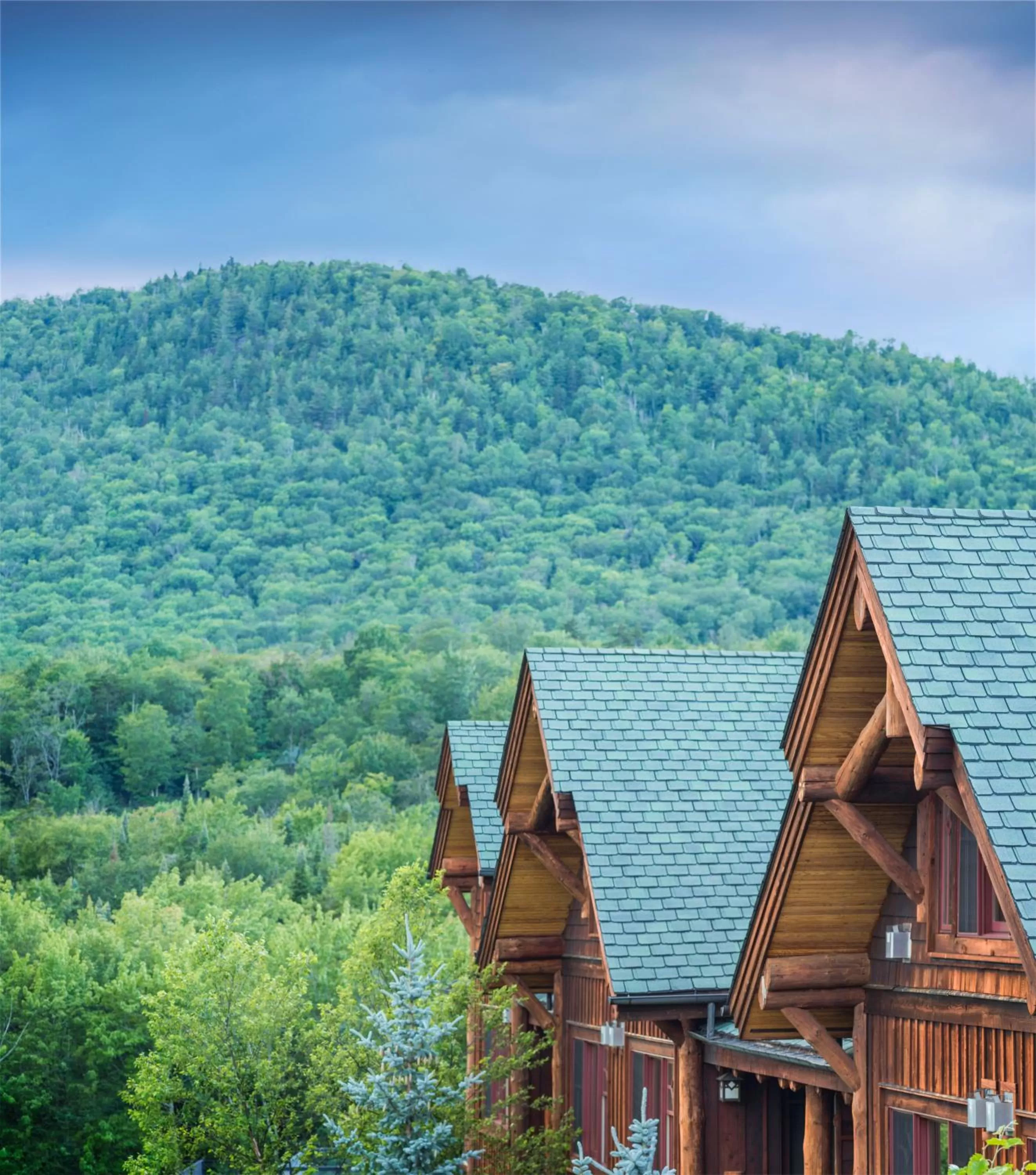 Property building in The Whiteface Lodge