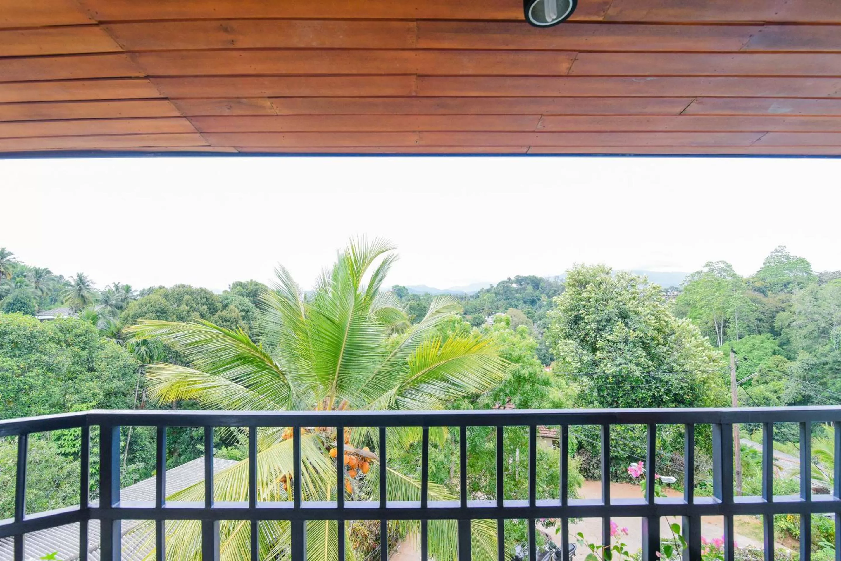 Balcony/Terrace in Blue Haven Guest House