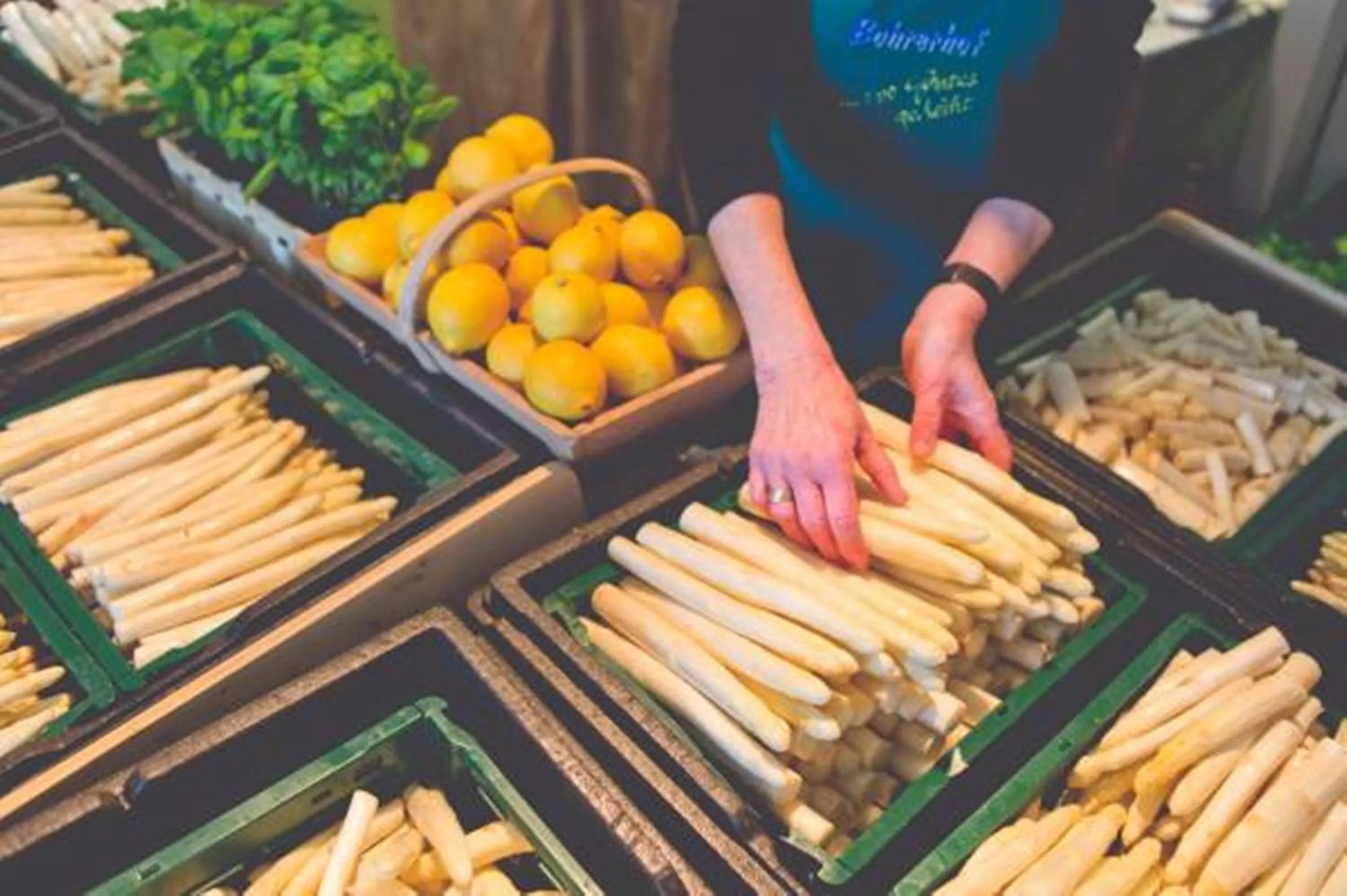 Area and facilities in Landhotel Bohrerhof