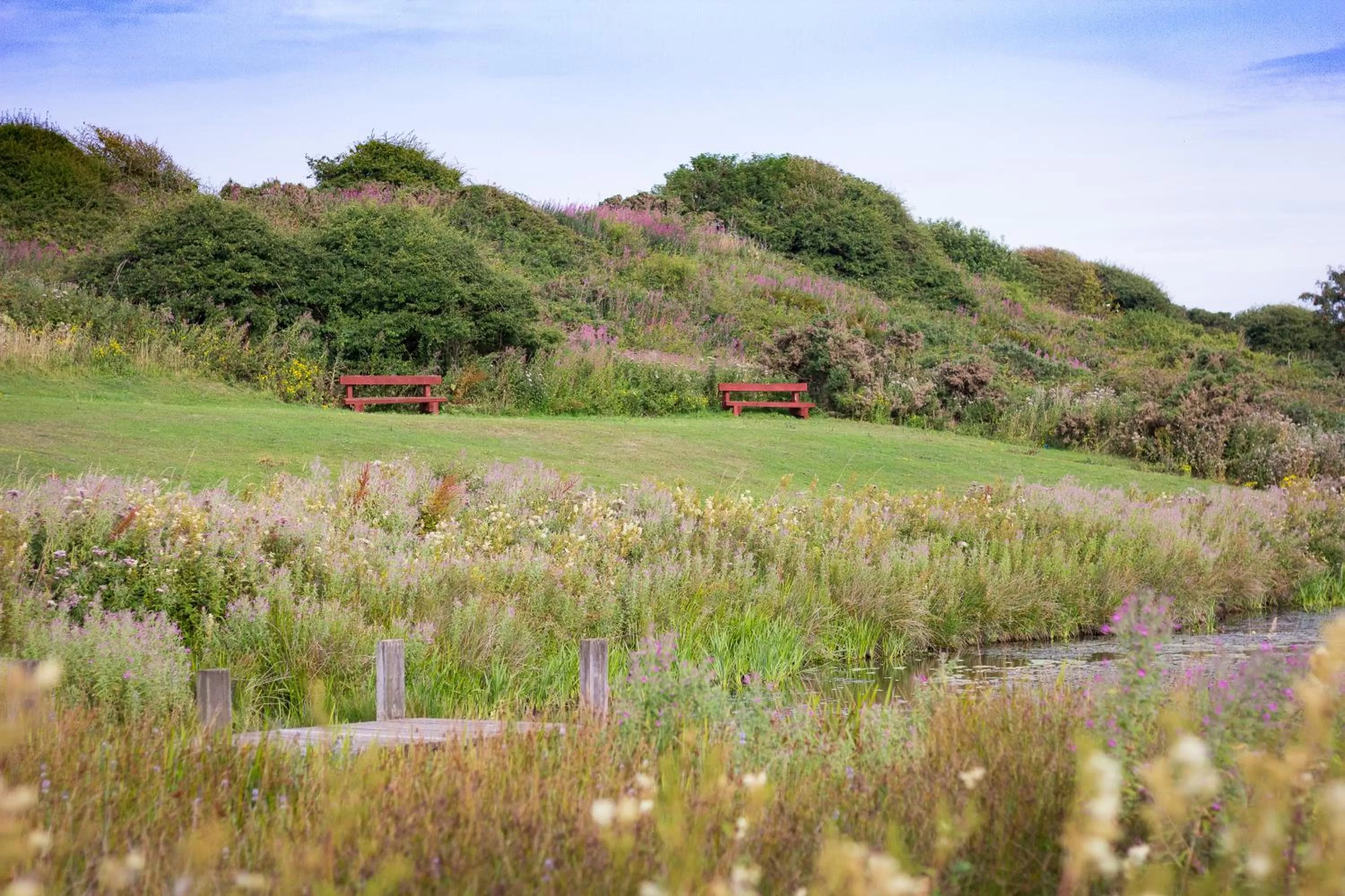 Natural landscape in The Bay Filey Holiday Village