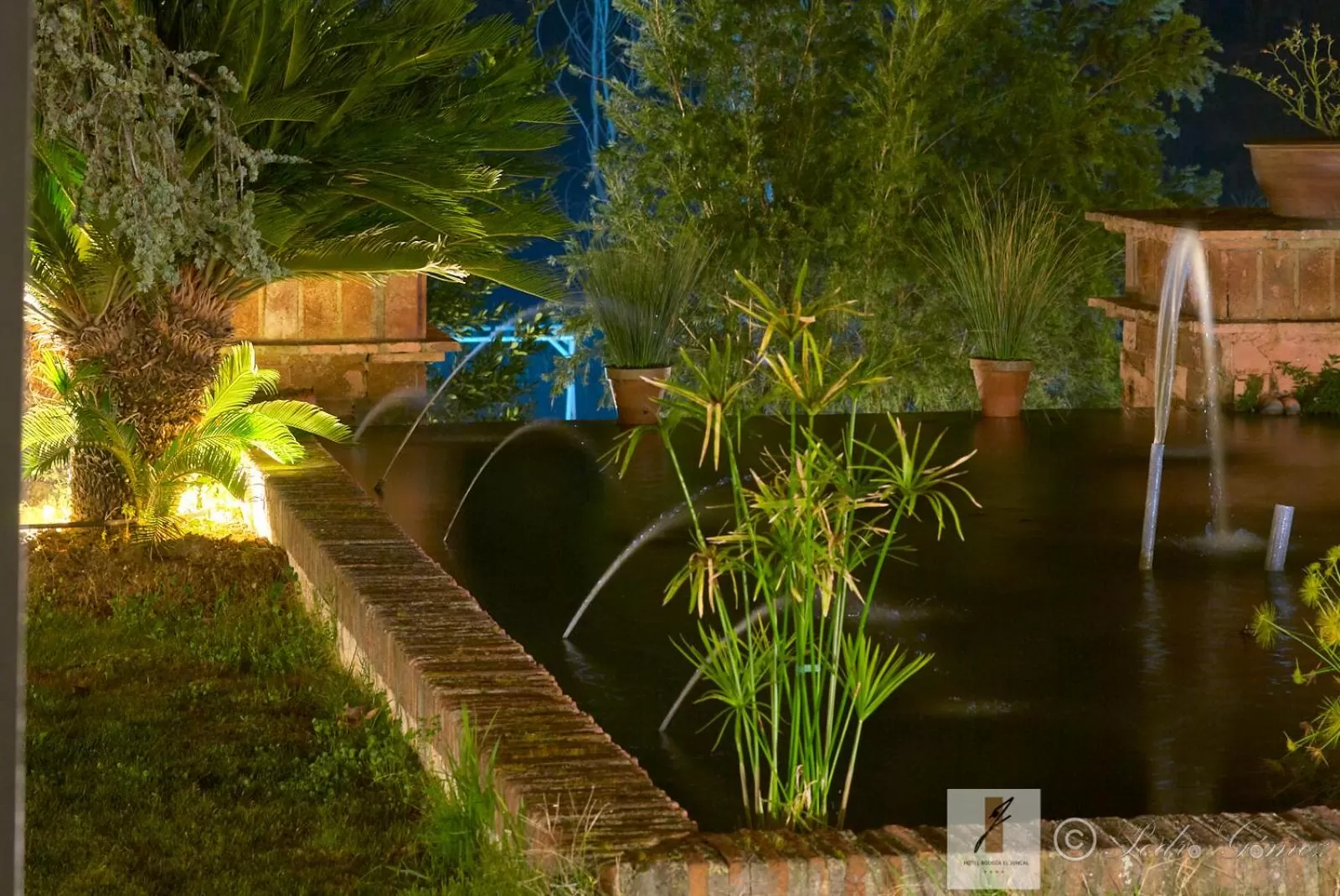 Garden in Hotel Bodega El Juncal