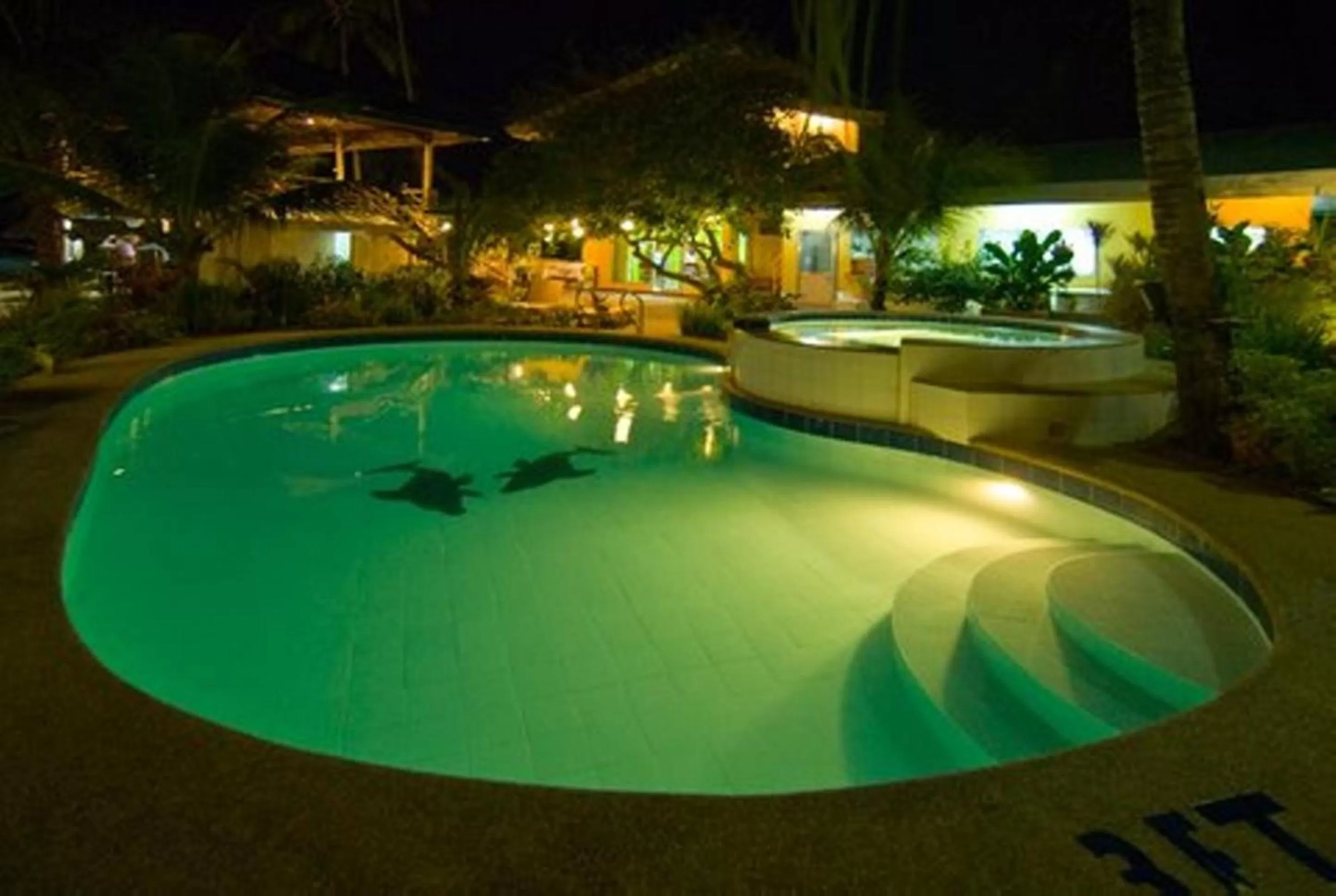 Swimming pool in Lost Horizon Beach Dive Resort