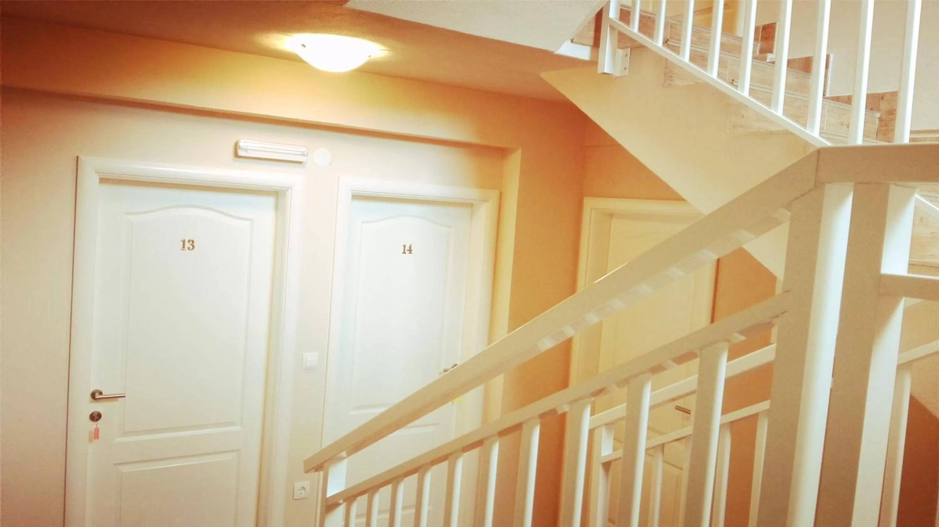 Other in Pansion Eden