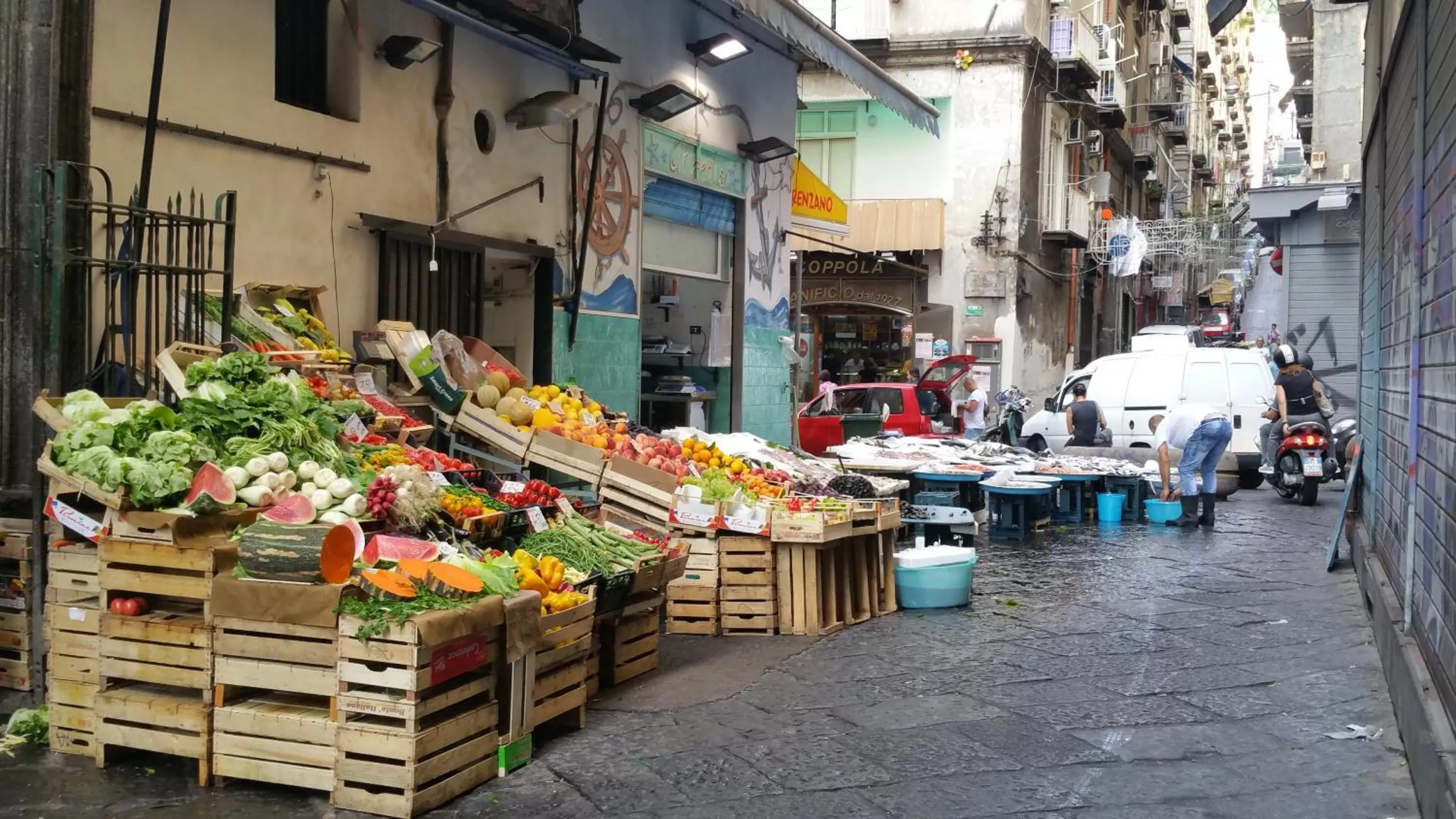 Supermarket/grocery shop in Garden House