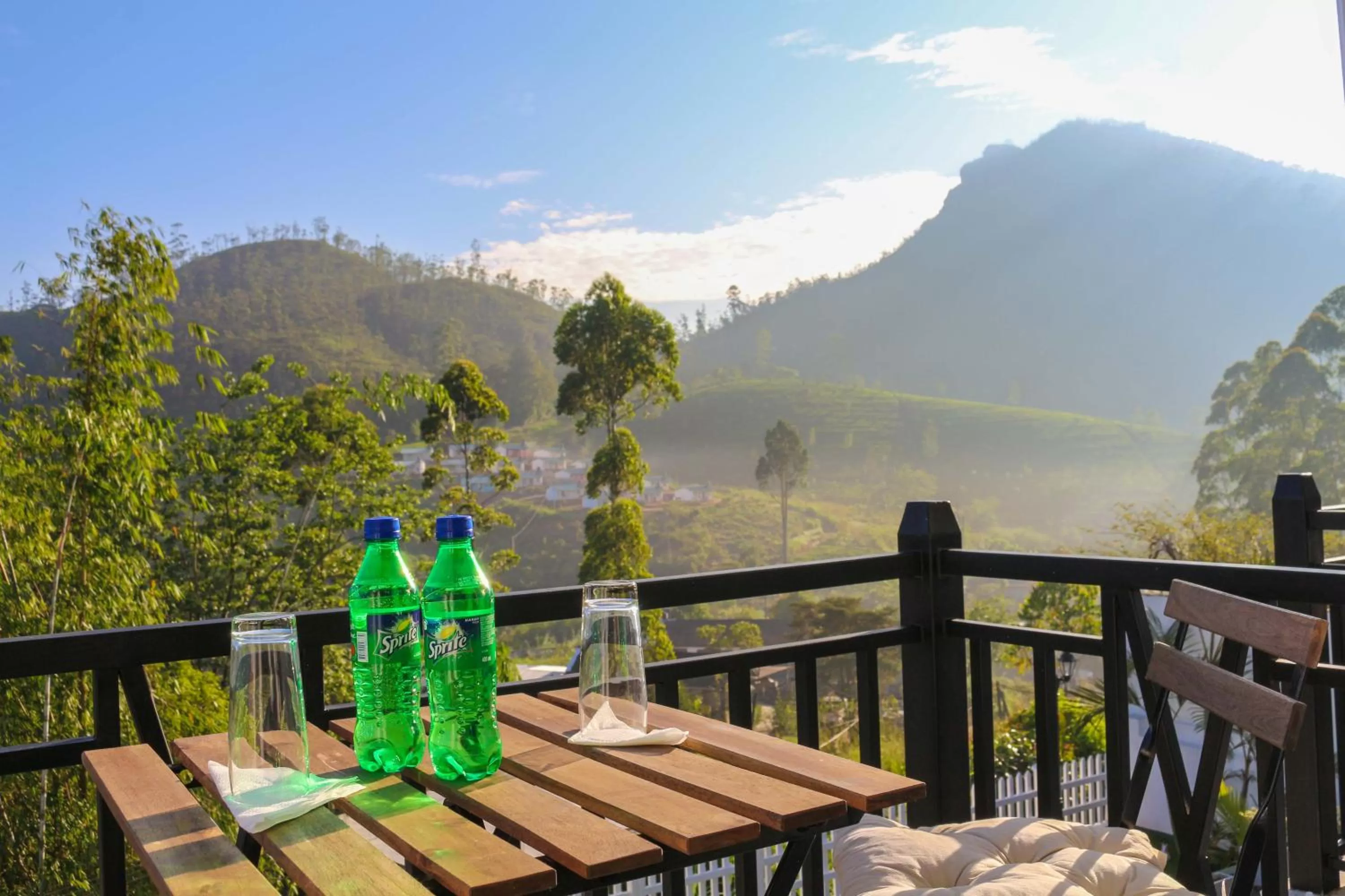 Mountain View in Hotel Mount Castle