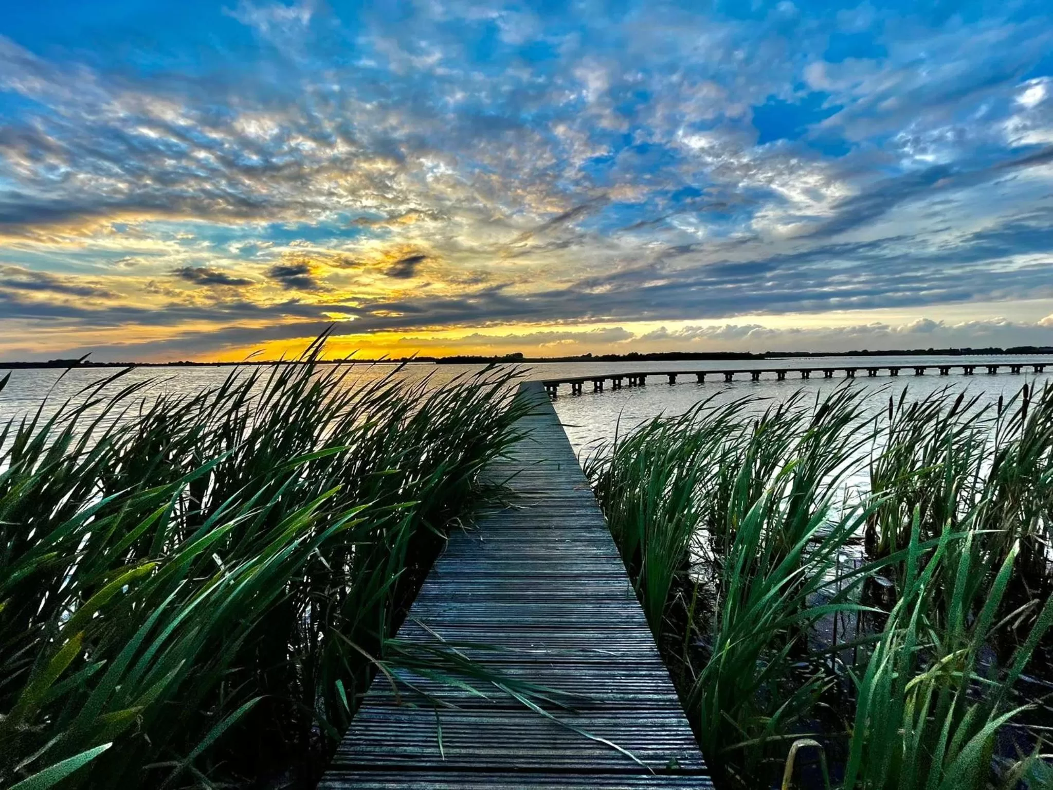 Guesthouse Het Gouden Eiland