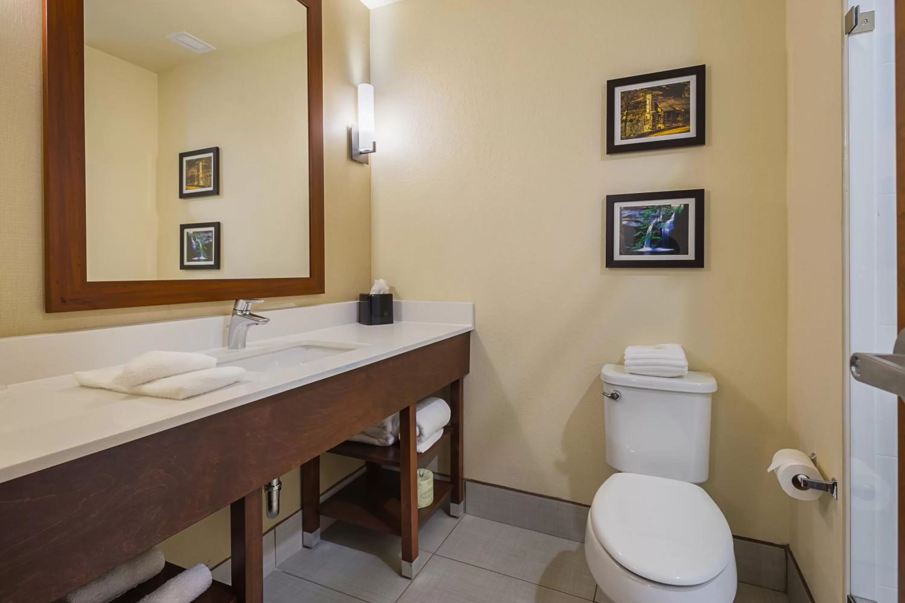 Toilet in Comfort Suites Piedmont - Greenville South