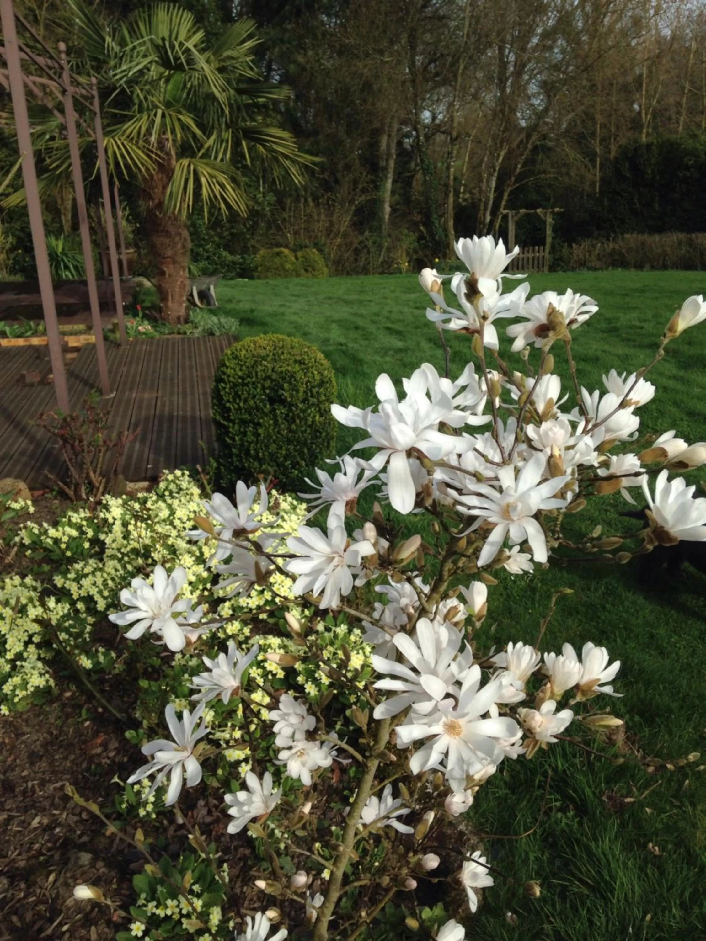 Spring in Chambres d'hôtes Le Bas Rassinoux