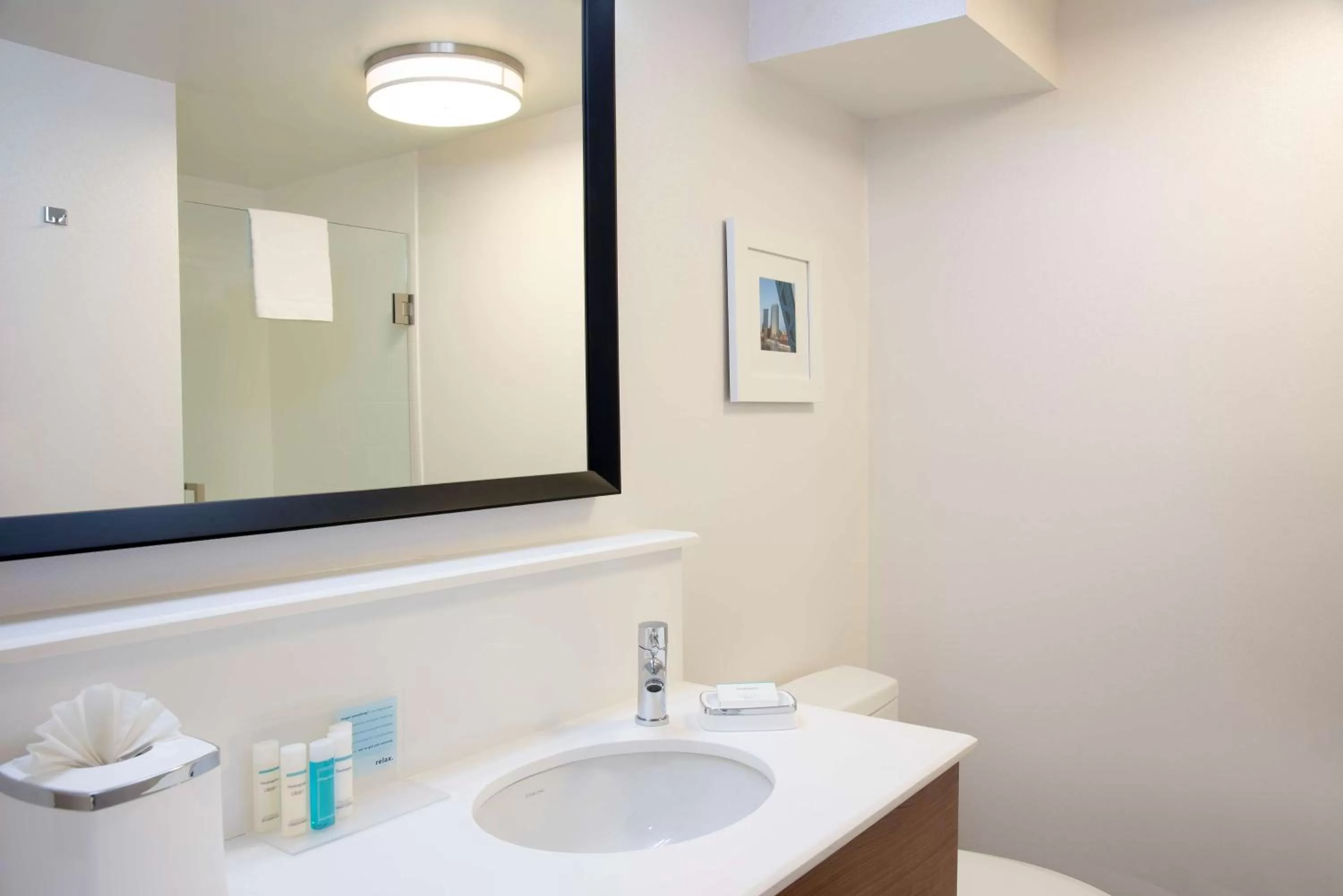 Bathroom in Hampton Inn Grand Rapids-South