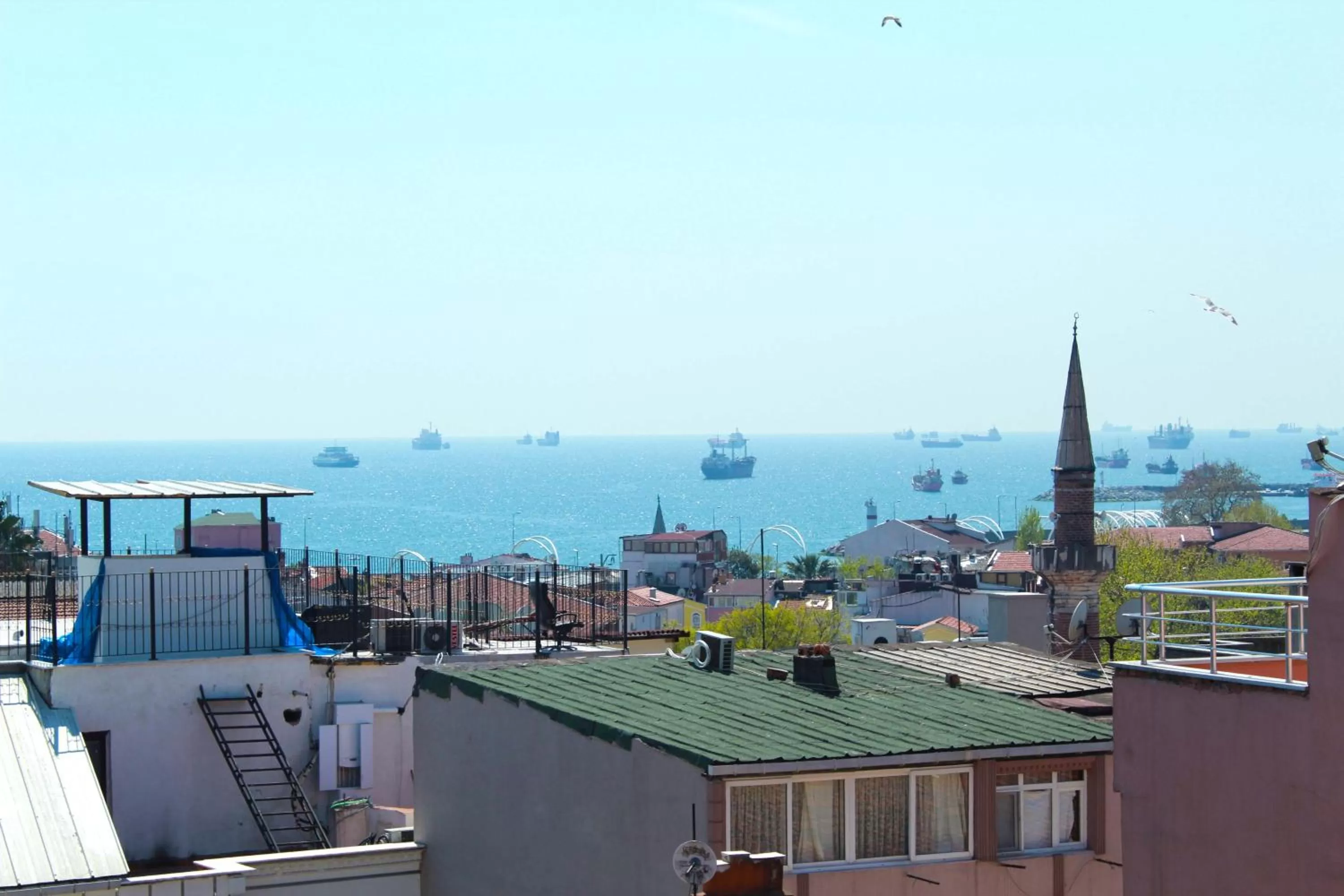 View (from property/room) in The Lola Hotel