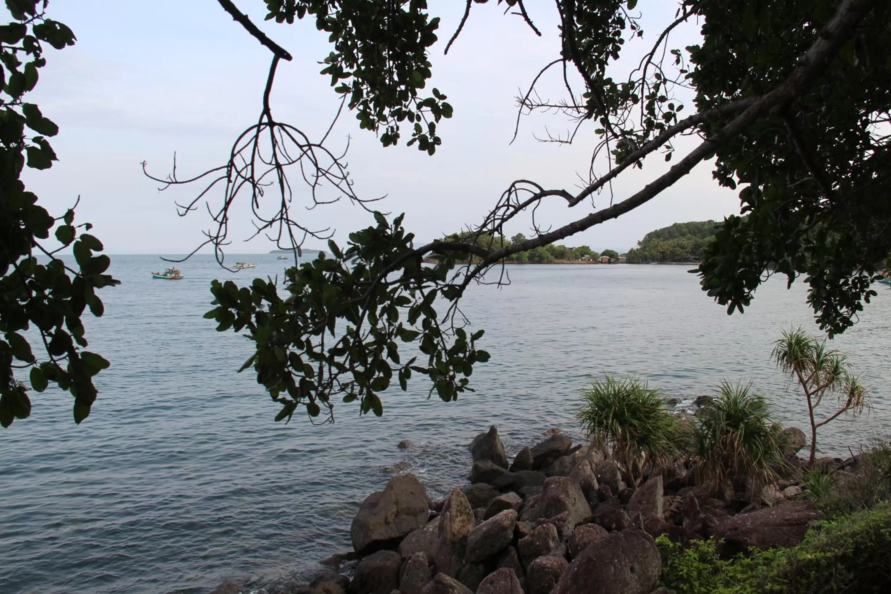 Area and facilities in River Hotel