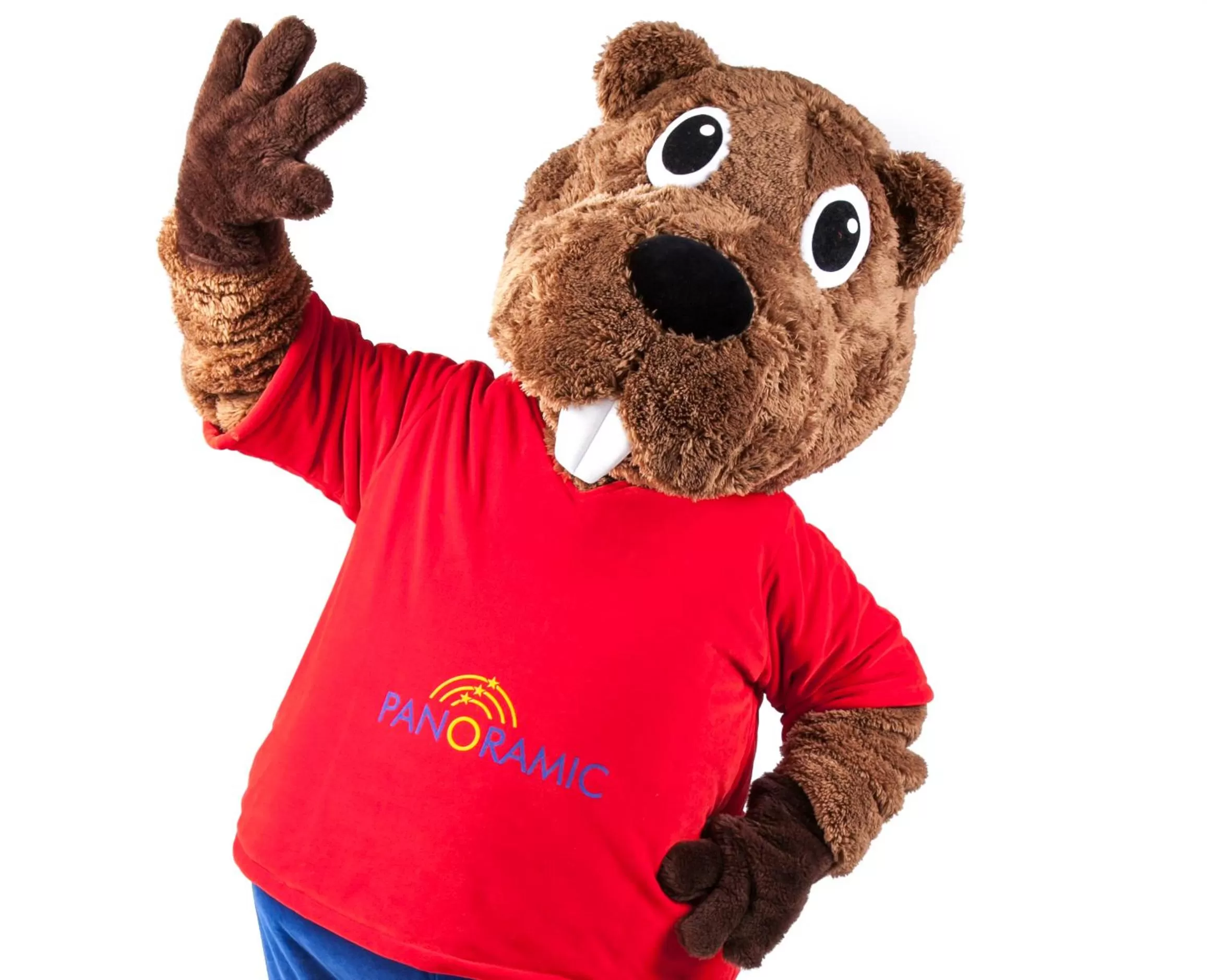 Kids's club in Familien Apartmenthotel Panoramic