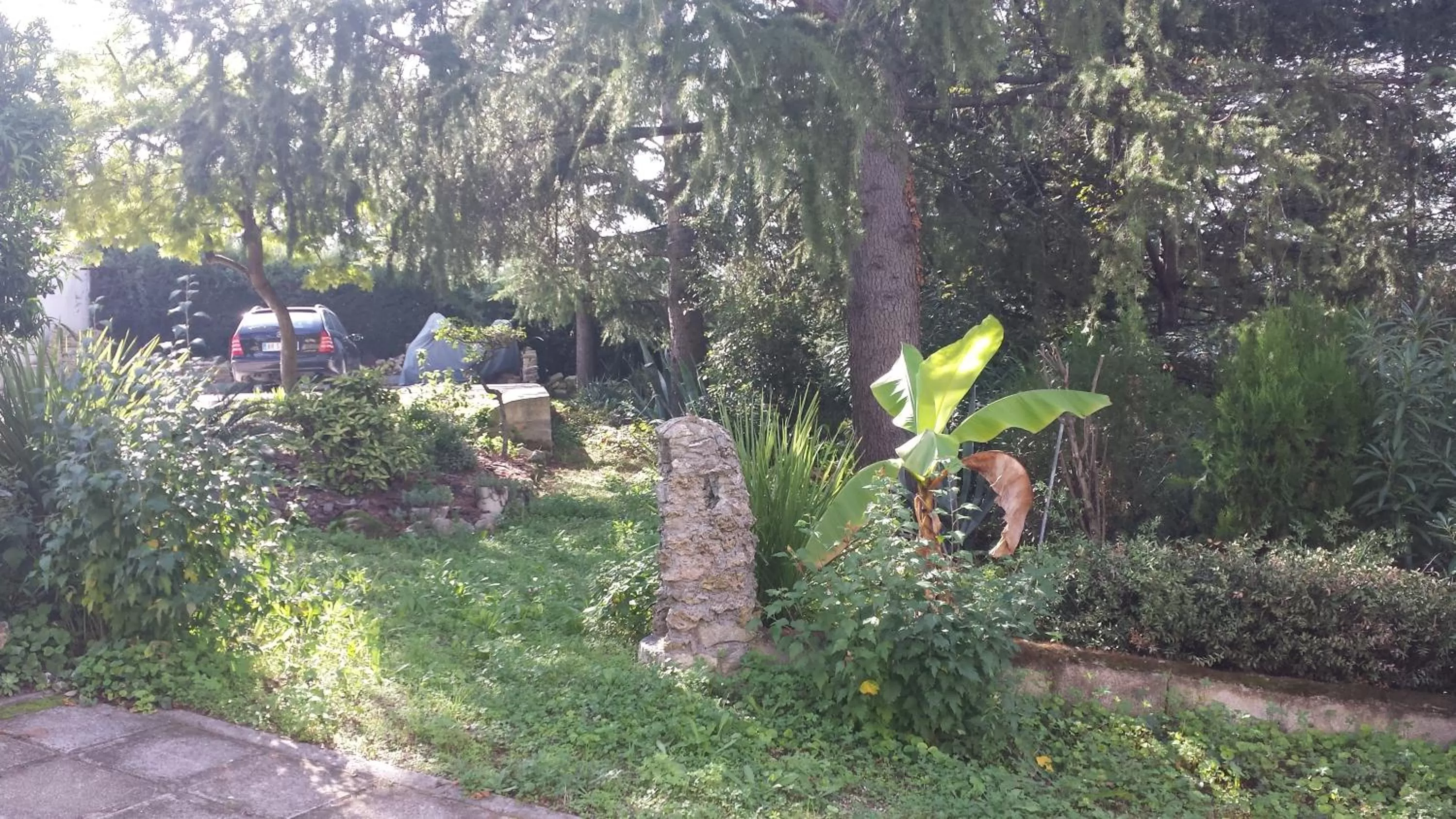 Garden in B&B Azzurra