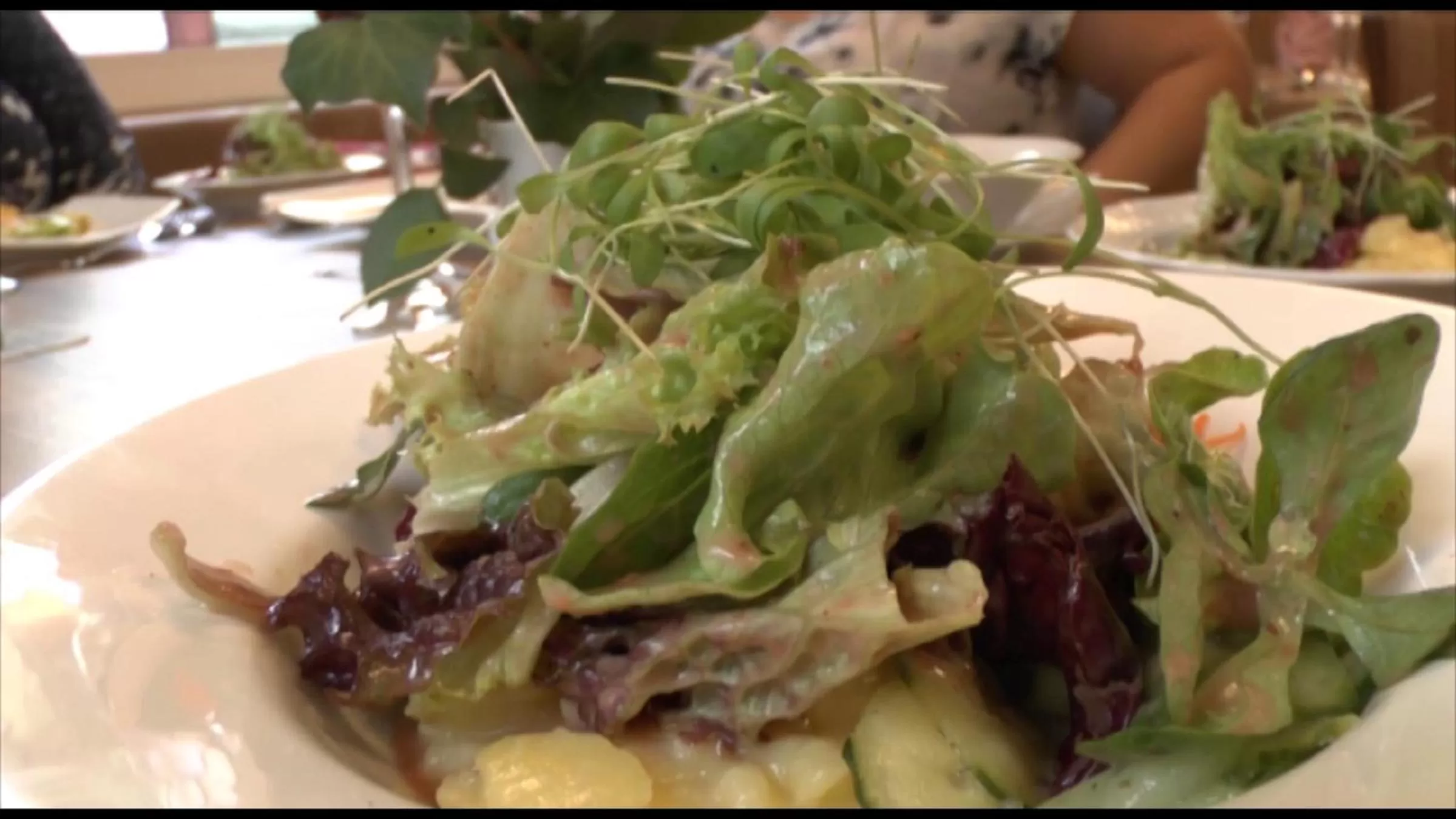 Food close-up in Gasthof Traube