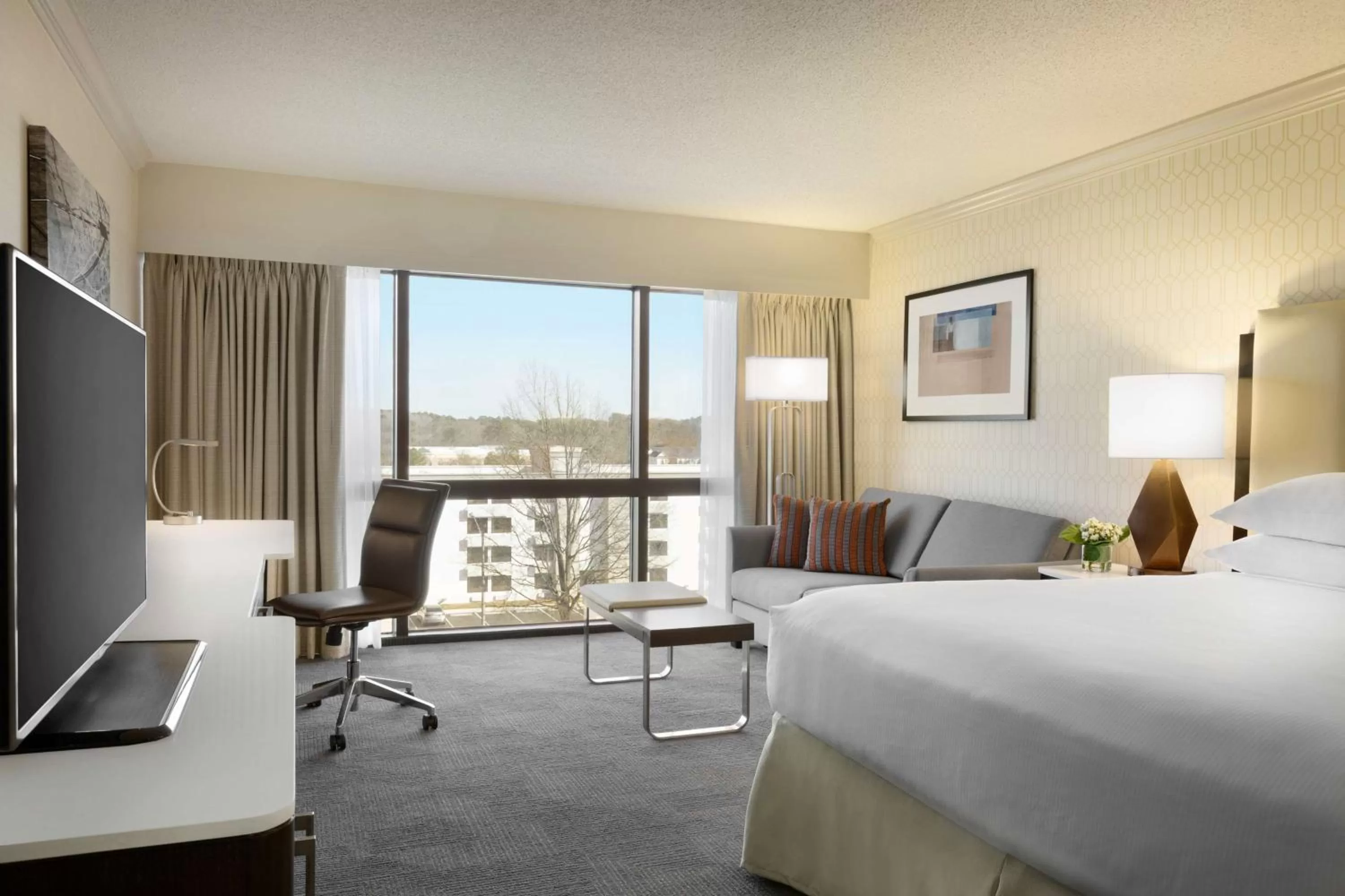 King Room - Mobility/Hearing Accessible with Tub in Hilton Greenville