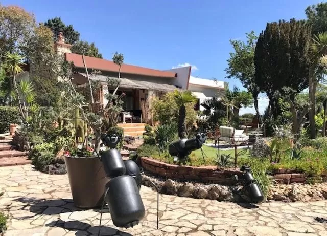 Property building in La cactée singulière