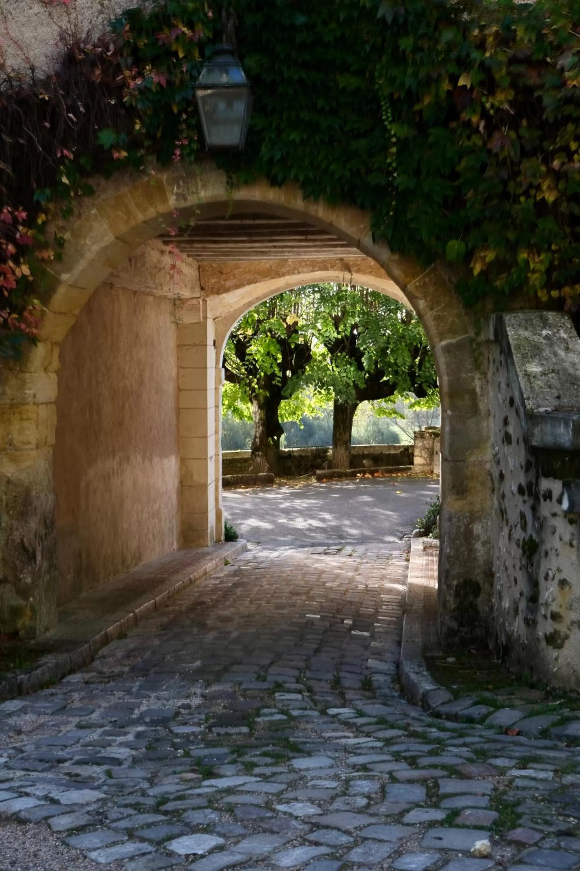 Facade/entrance in Château de Nazelles Amboise