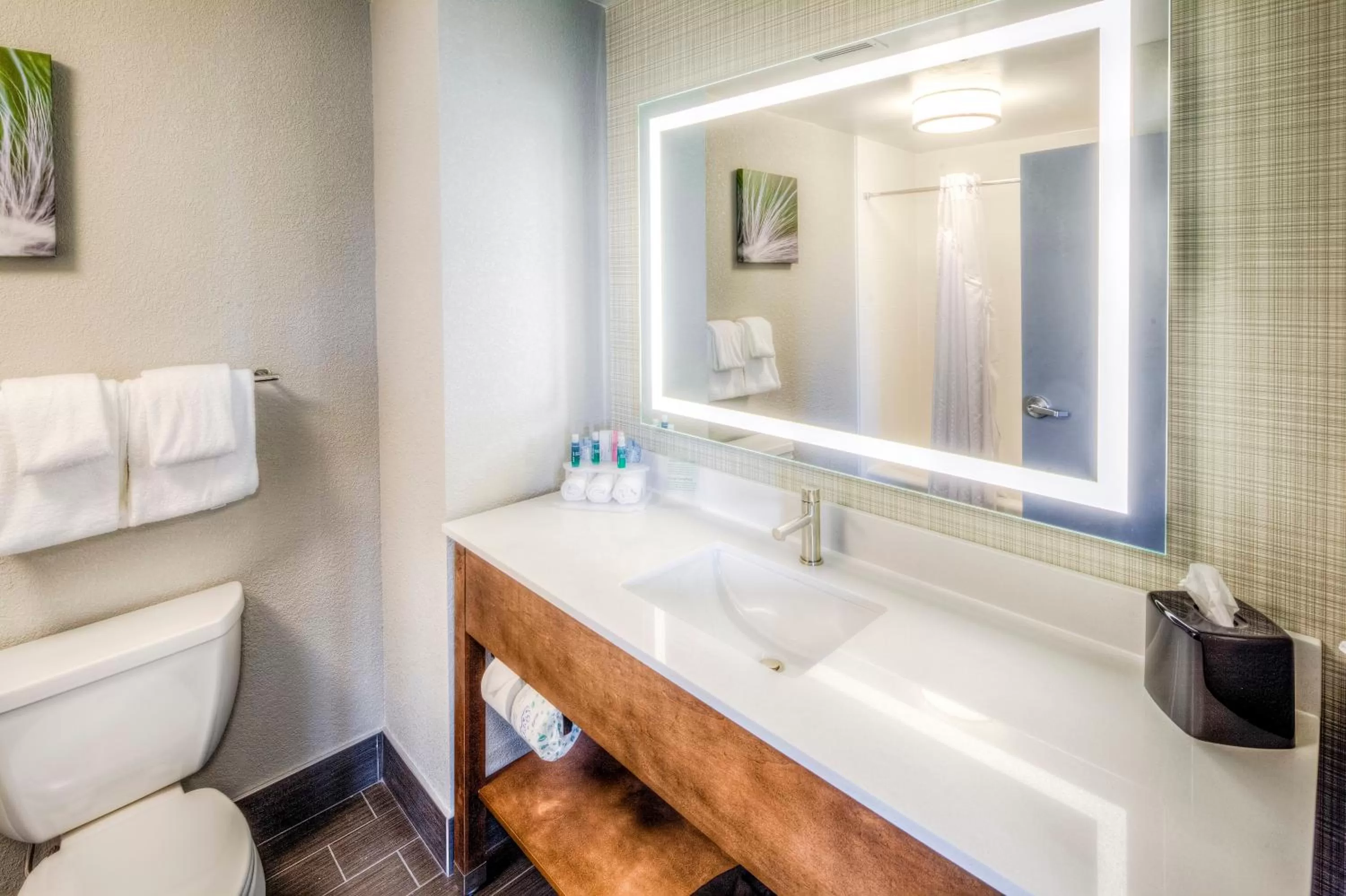 Bathroom in Holiday Inn Express & Suites Cleveland/Westlake by IHG